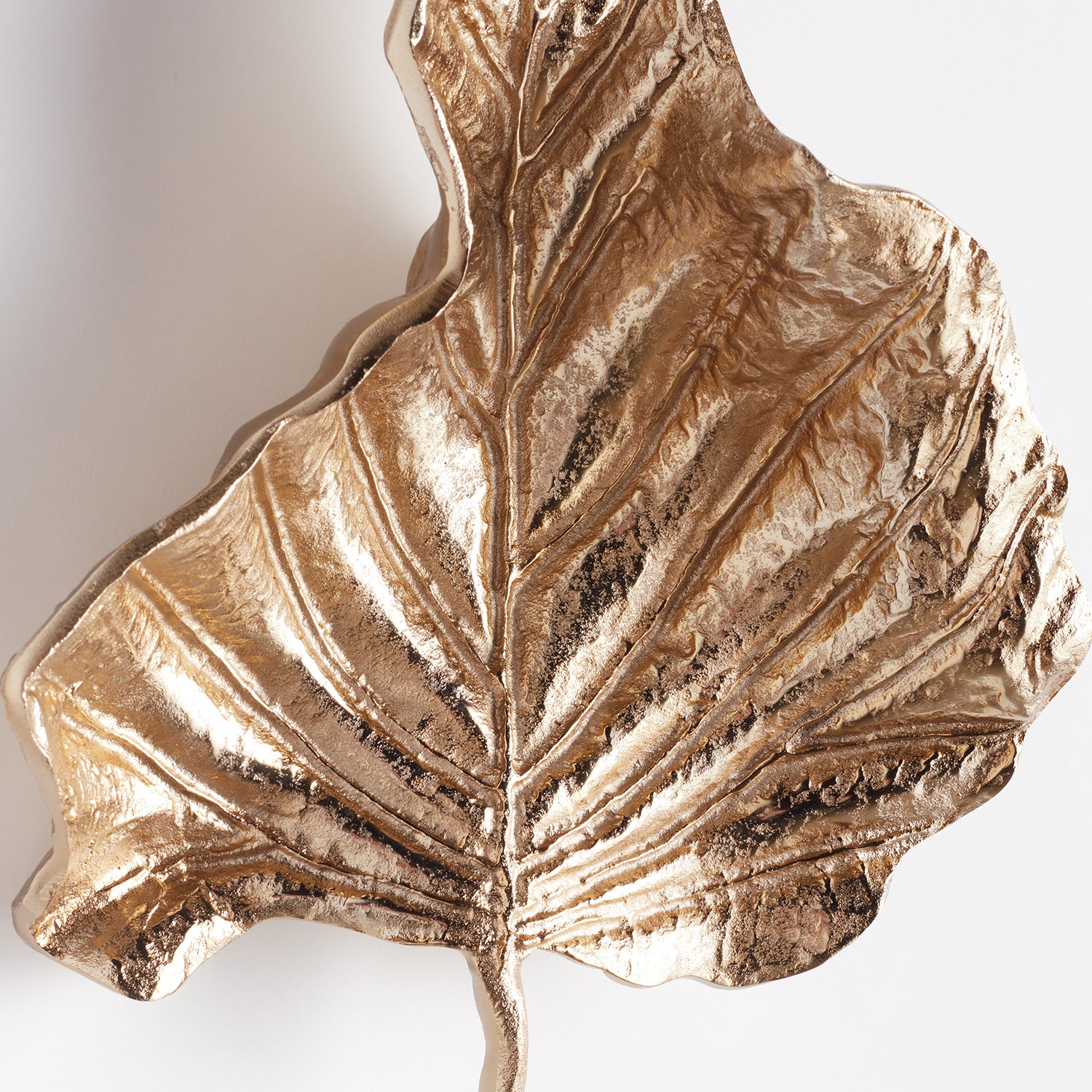 Colocasia Small Wall Art