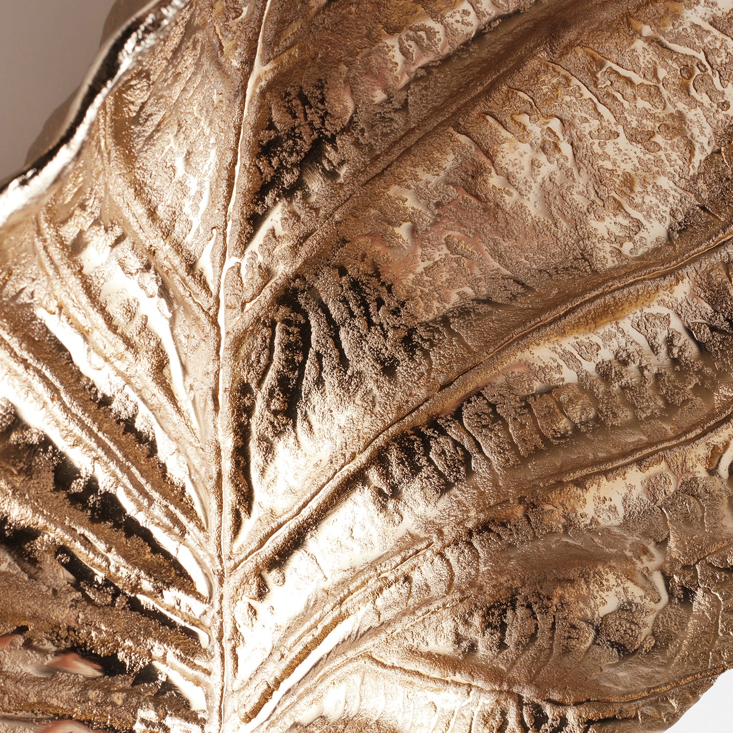 Colocasia Large Wall Art