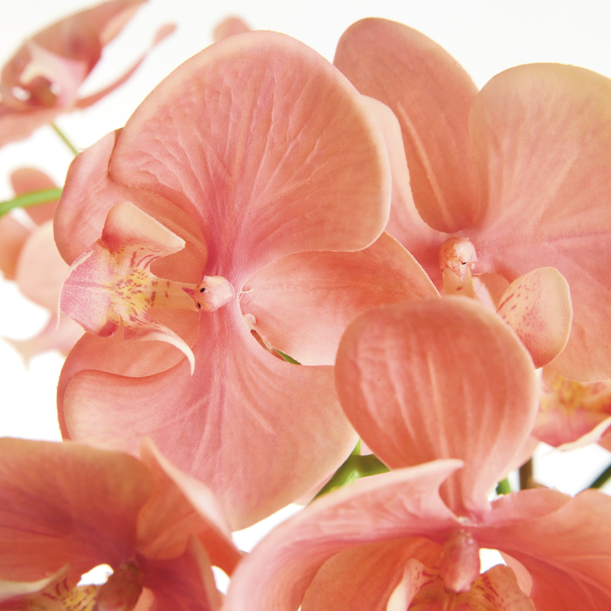 Phalaenopsis Orchid 30in Drop-In Faux Plant