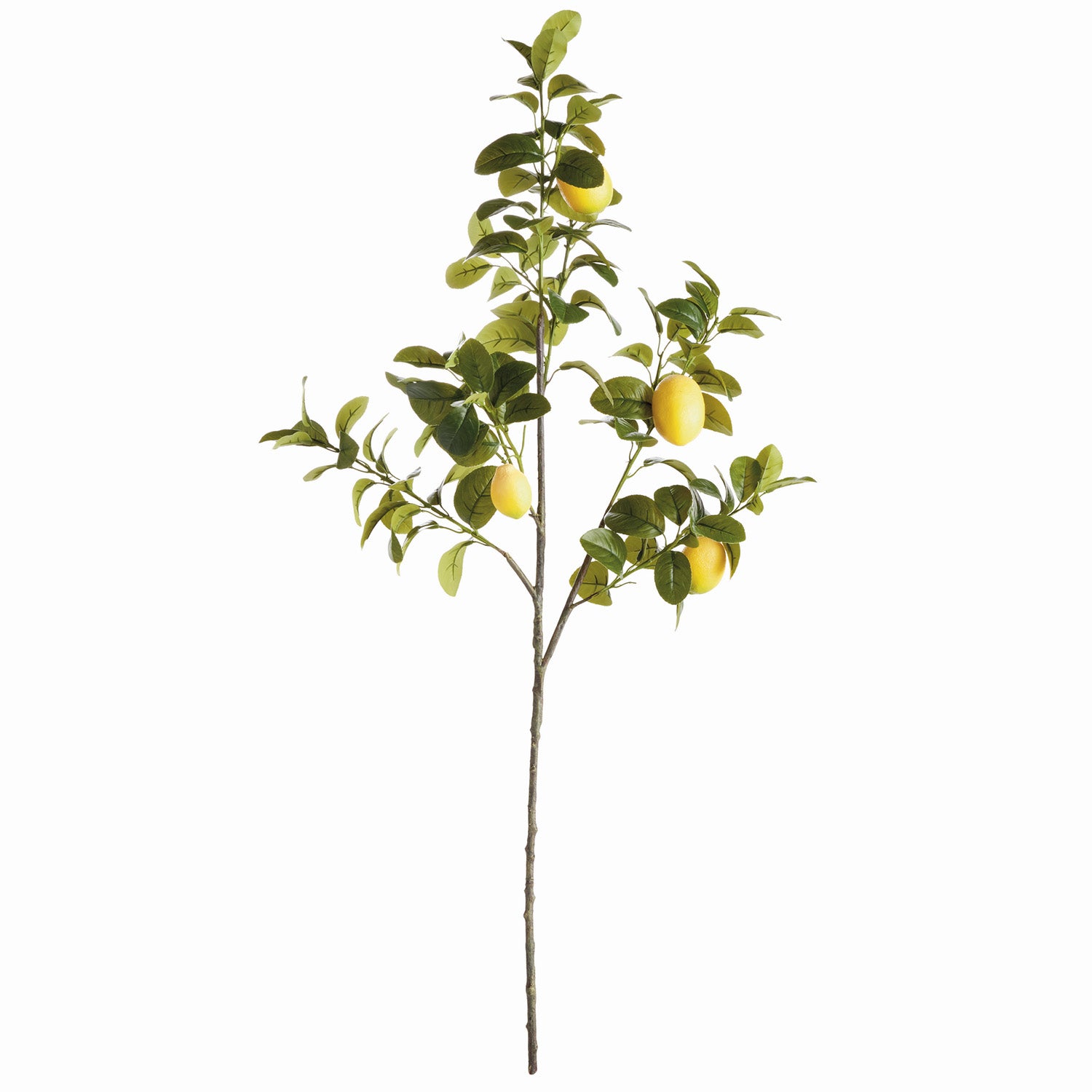 Faux Lemon 43in Faux Branches Set of 2