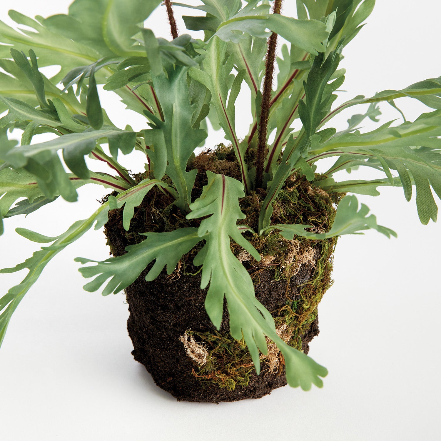 Rabbit Foot 13.5in Drop-In Faux Plant