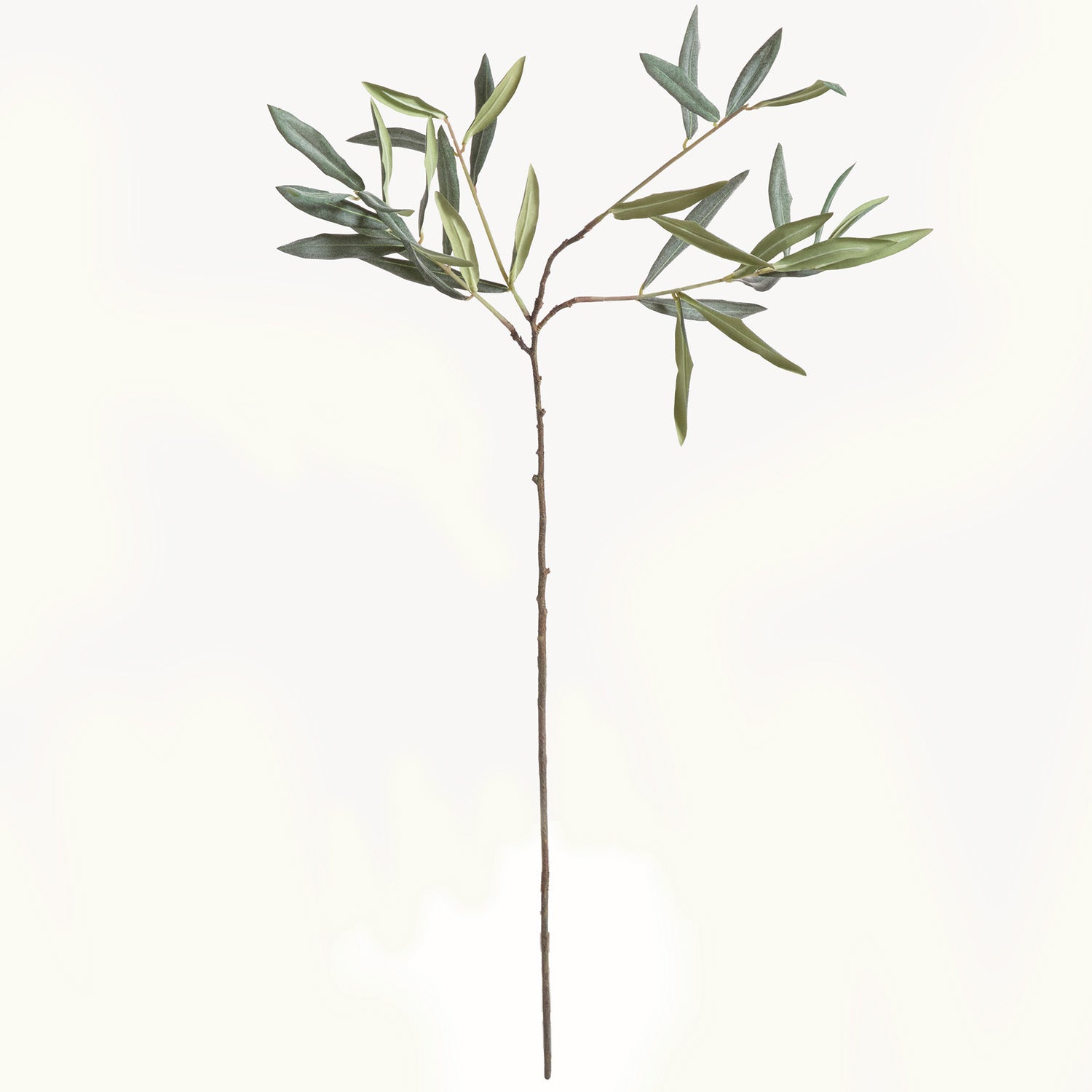 Olive 30in Faux Stem Set of 4