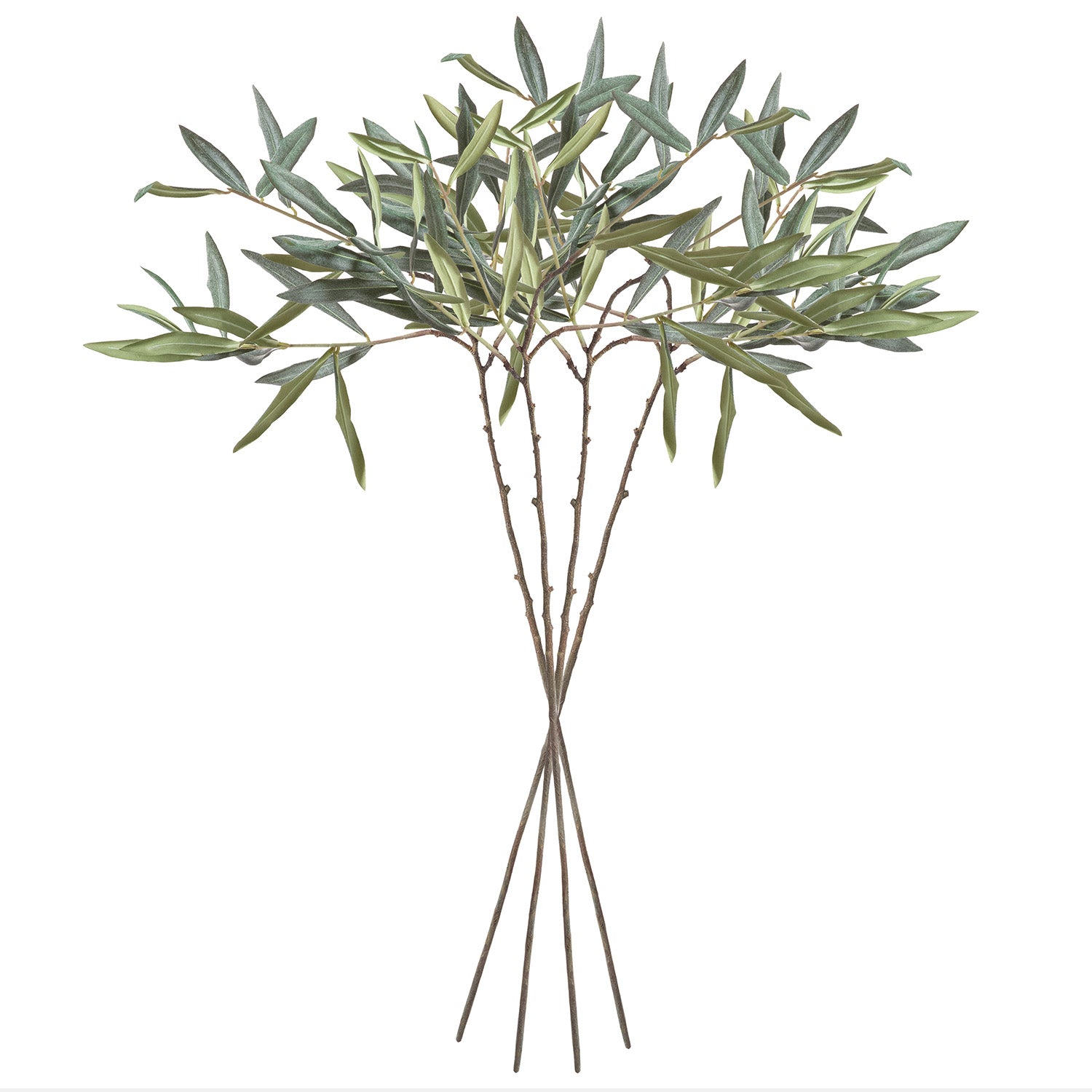 Olive 30in Faux Stem Set of 4