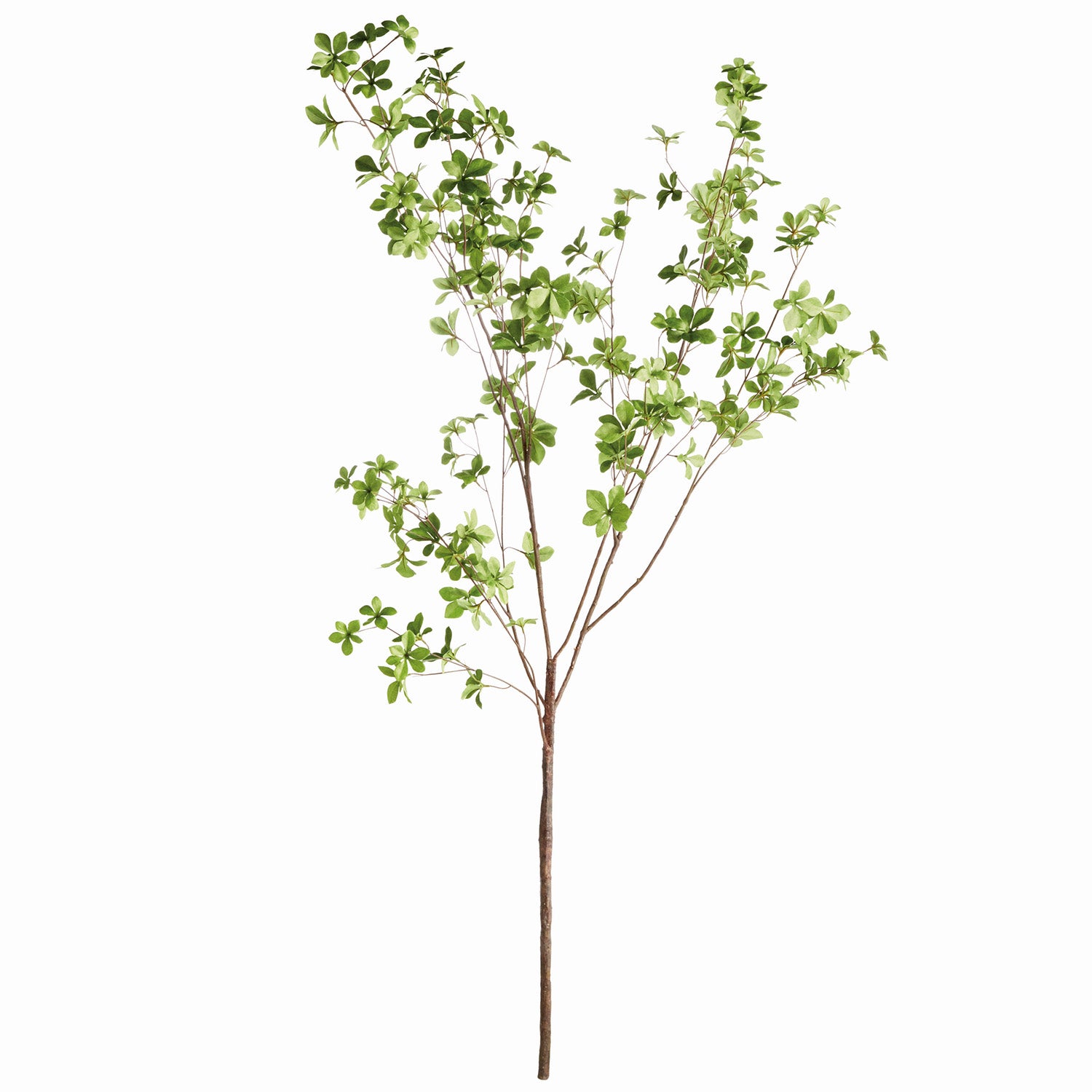Shady Lady Black Olive 56in Faux Branches Set of 2