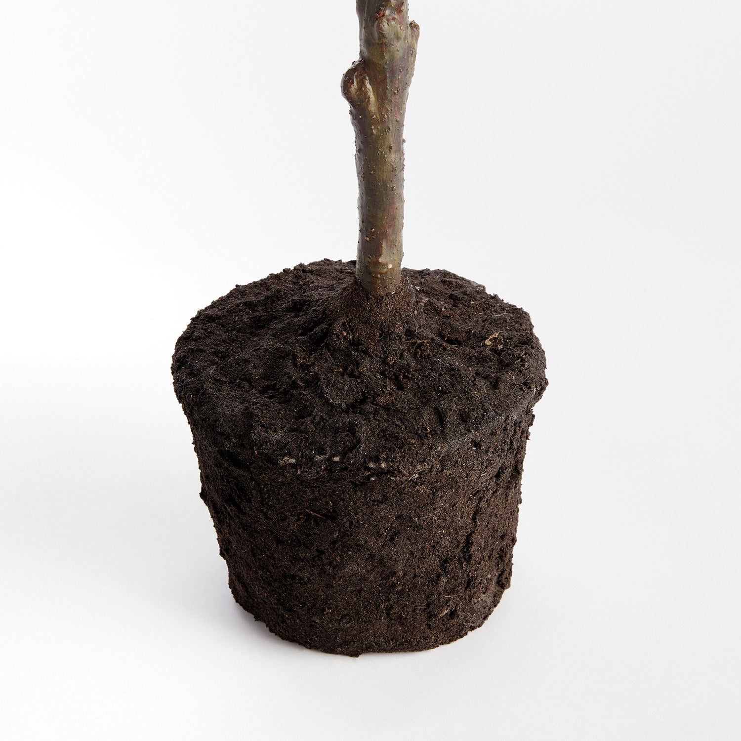 Faux Lemon Tree 49in Drop-In Plant