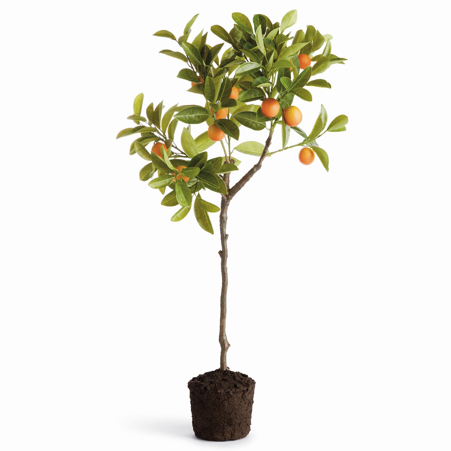 Faux Kumquat Tree 33" Drop-In Faux Plant