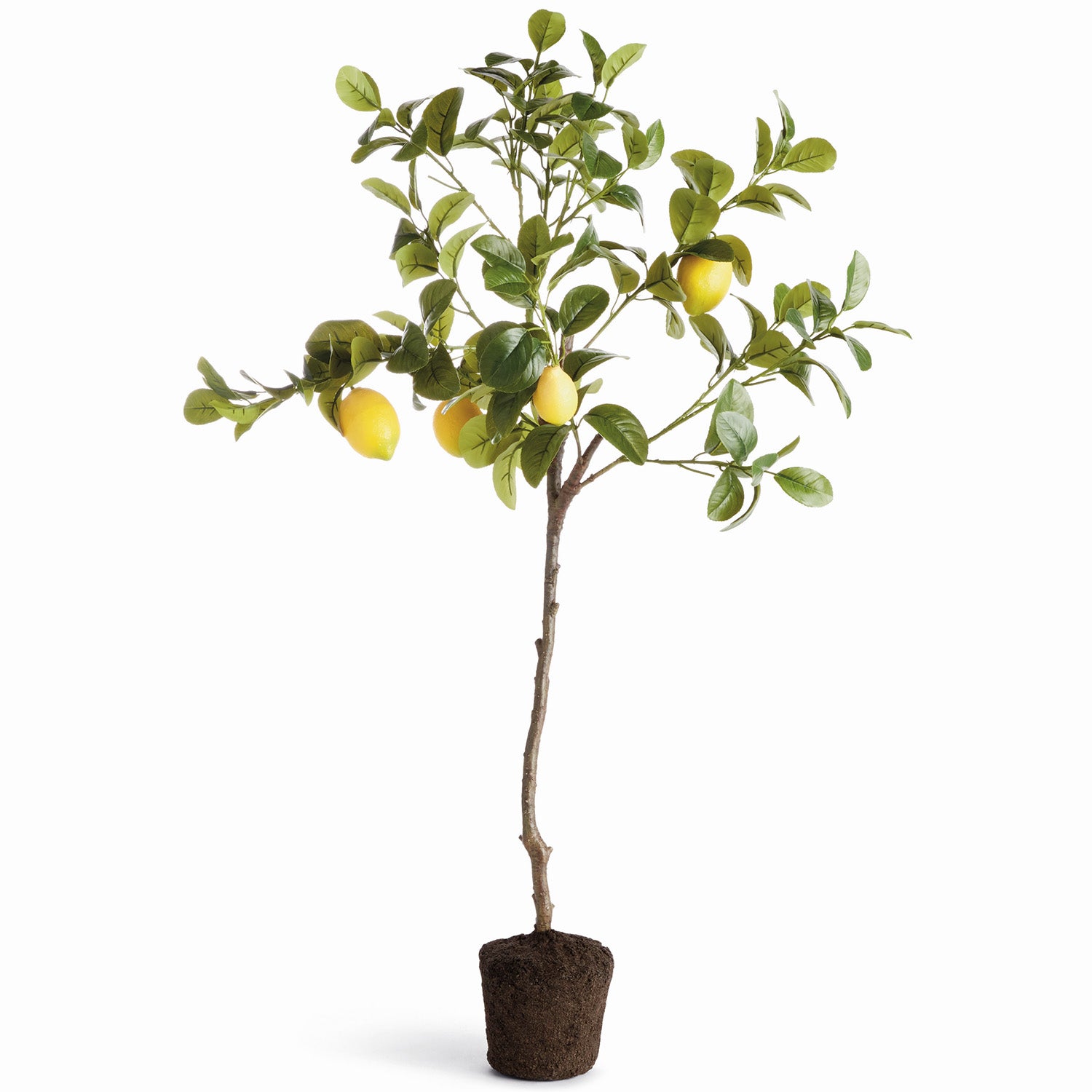 Faux Lemon Tree 37in Drop-In Plant