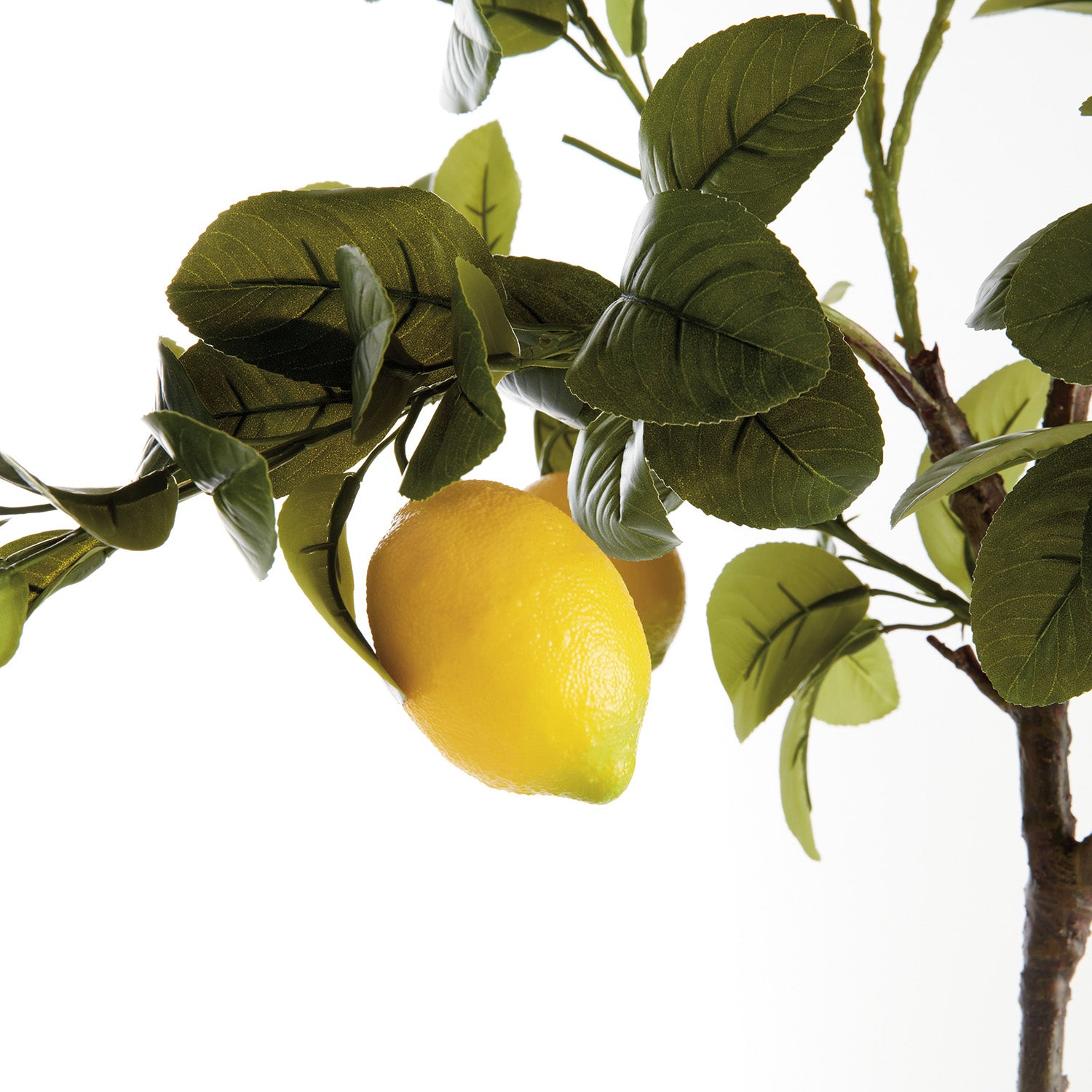 Faux Lemon Tree 37in Drop-In Plant