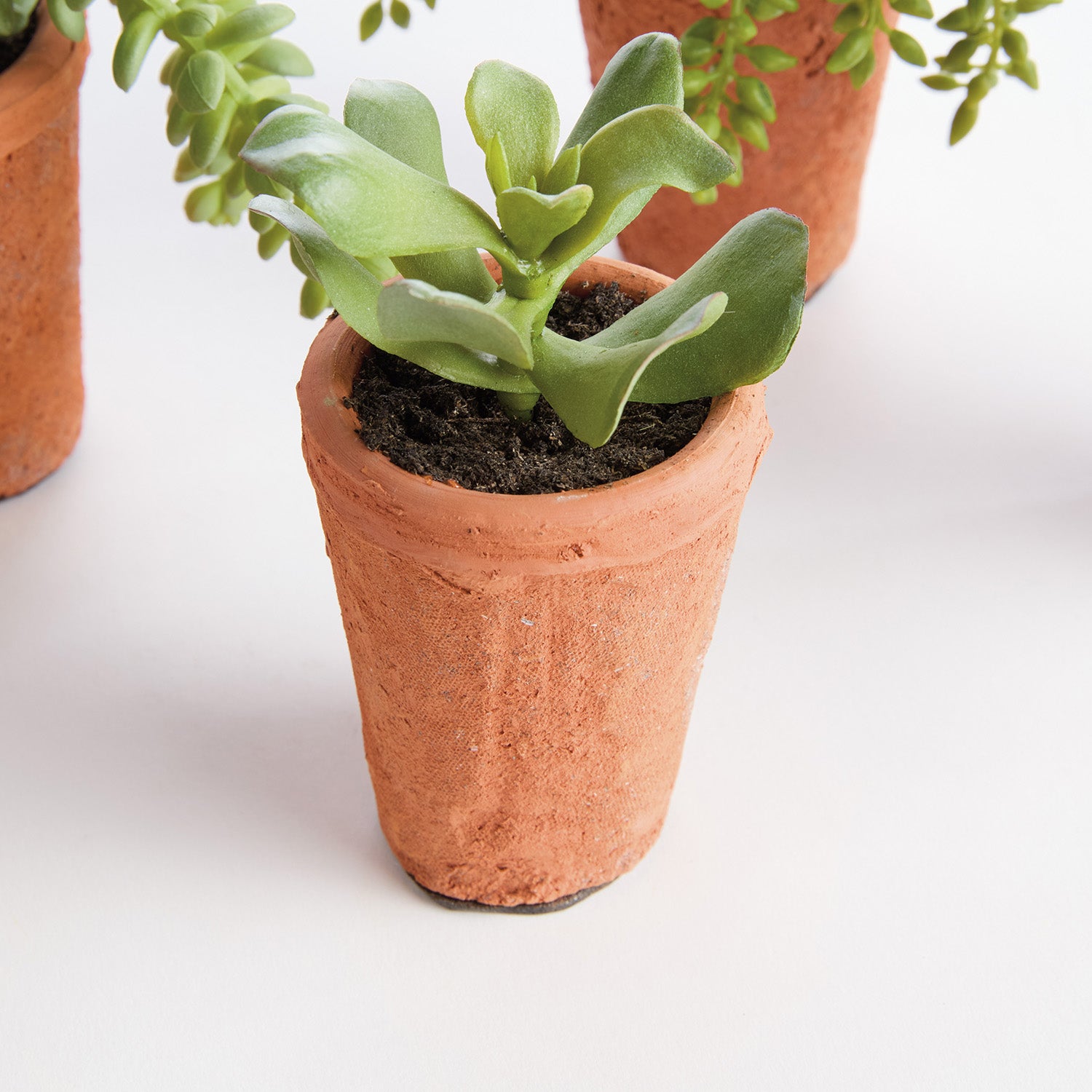 Potted Succulents 8.5in Faux Plant Set of 6