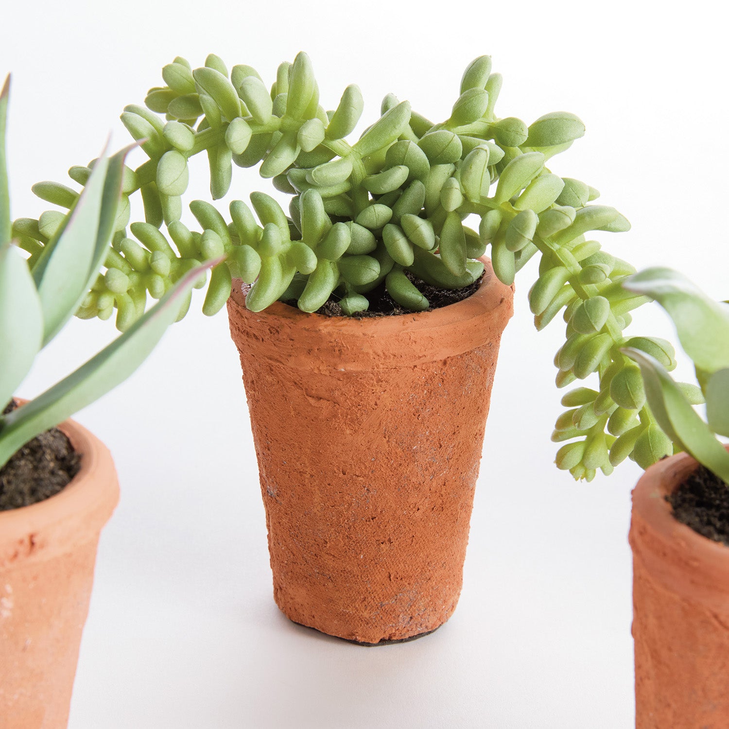 Potted Succulents 8.5in Faux Plant Set of 6