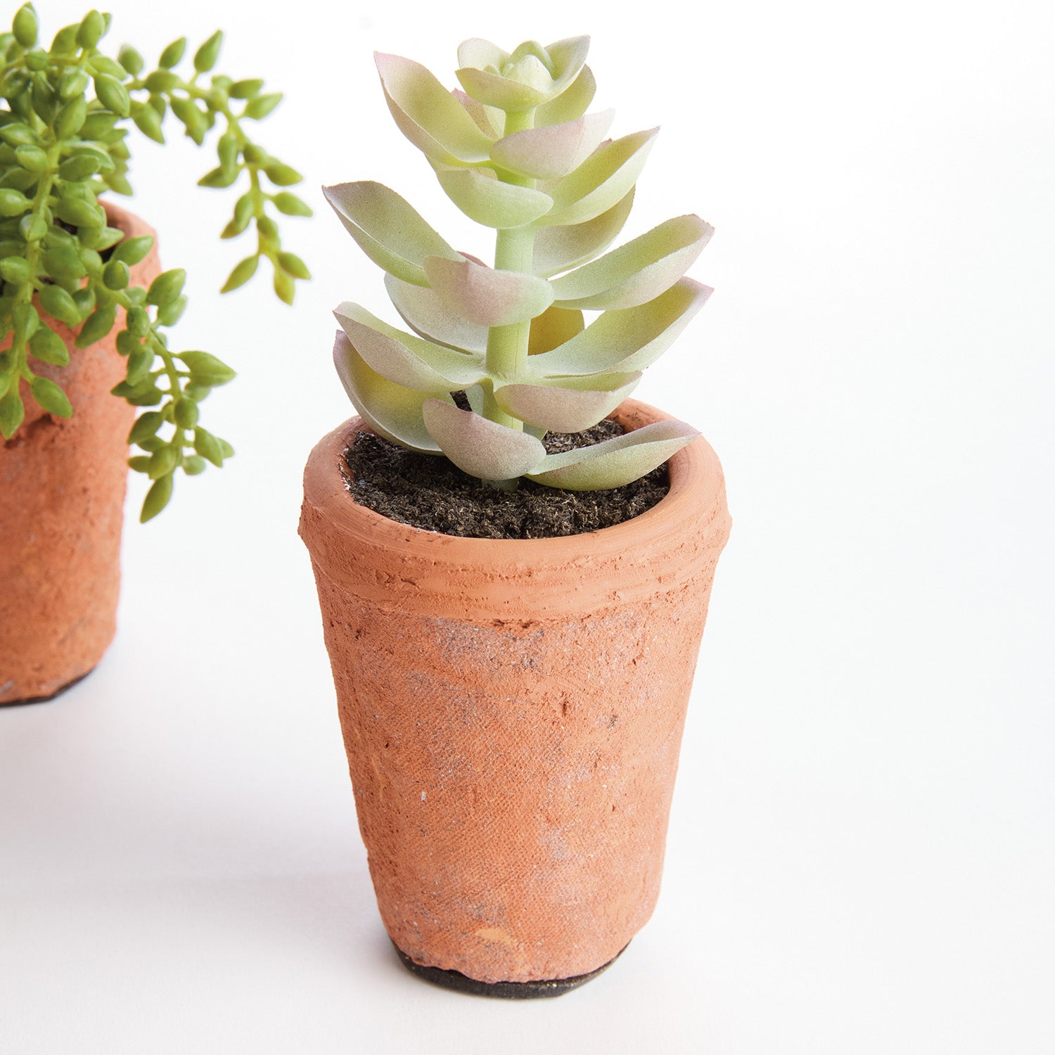 Potted Succulents 8.5in Faux Plant Set of 6