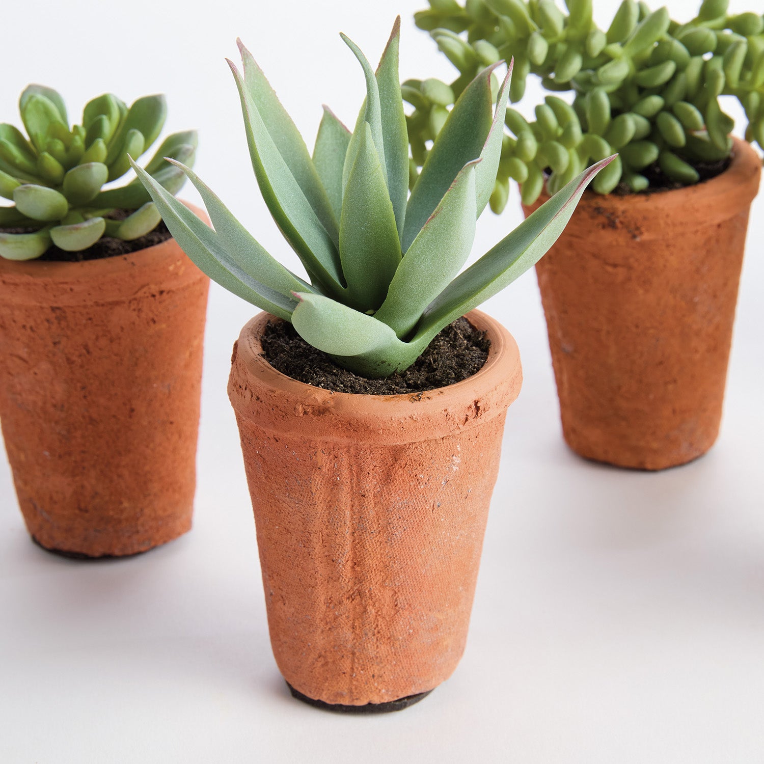 Potted Succulents 8.5in Faux Plant Set of 6