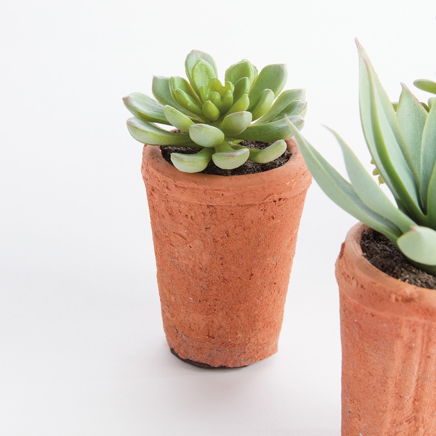 Potted Succulents 8.5in Faux Plant Set of 6