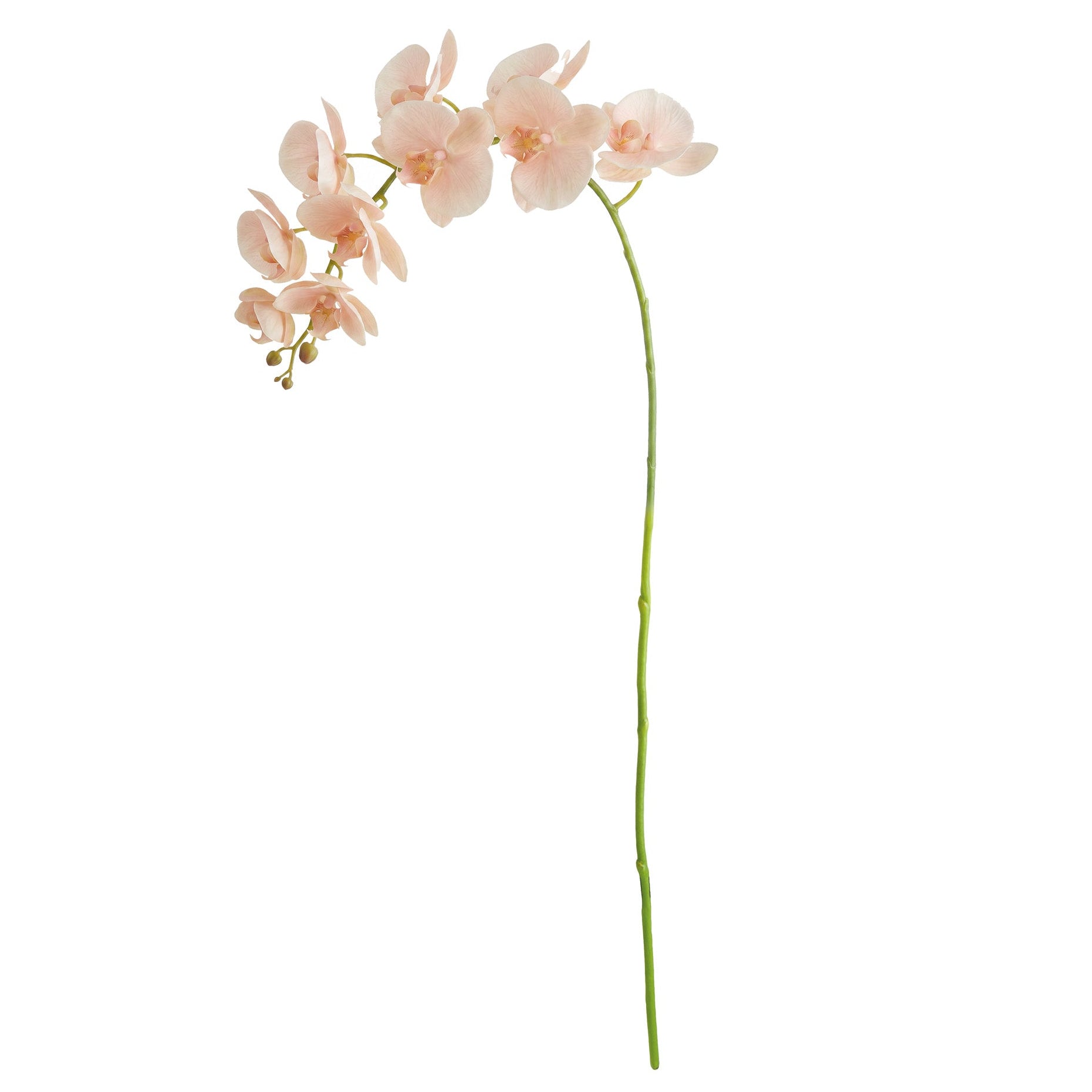 Phalaenopsis Orchid 28in Faux Plant Stem Set of 4