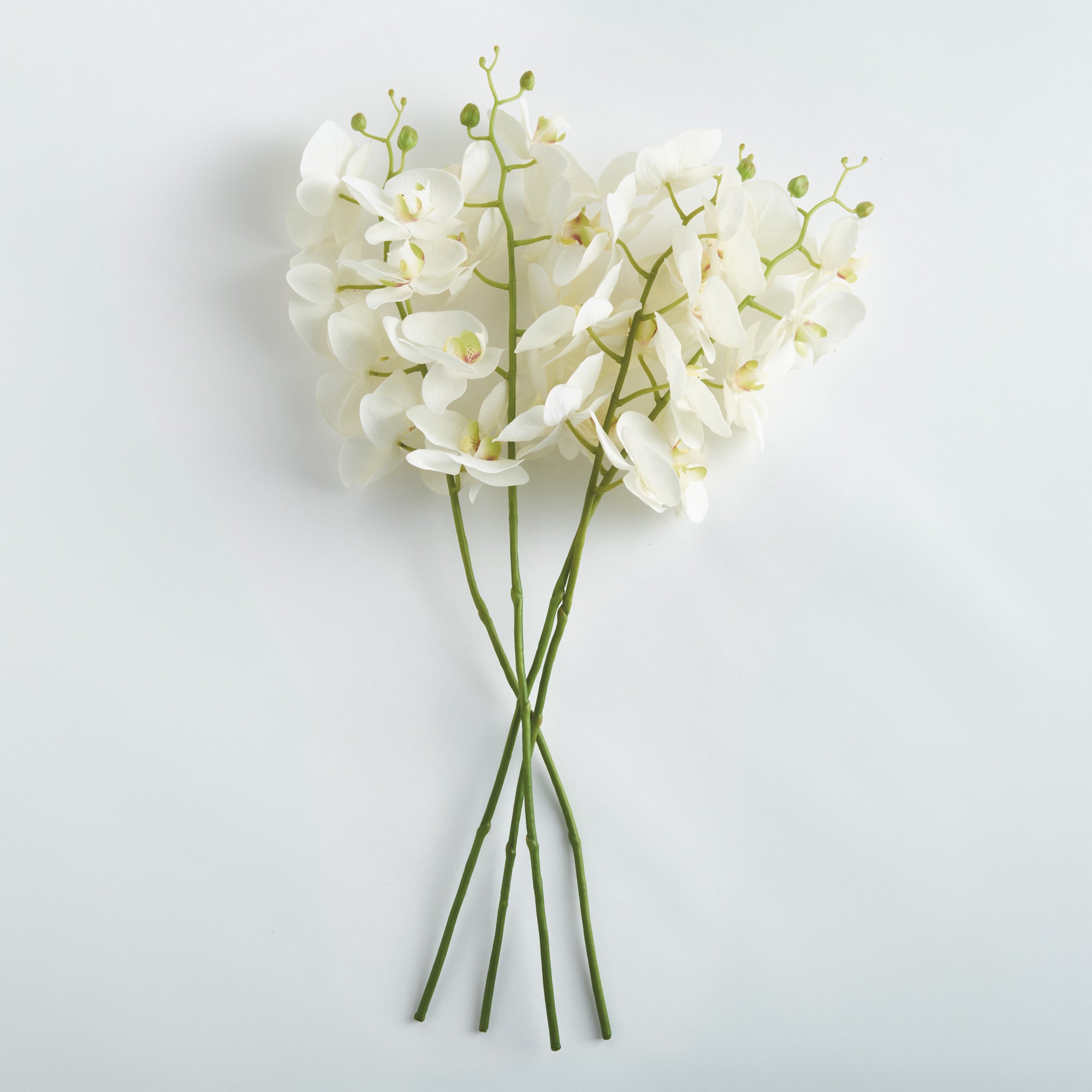 Phalaenopsis Orchid 28in Faux Plant Stem Set of 4 2