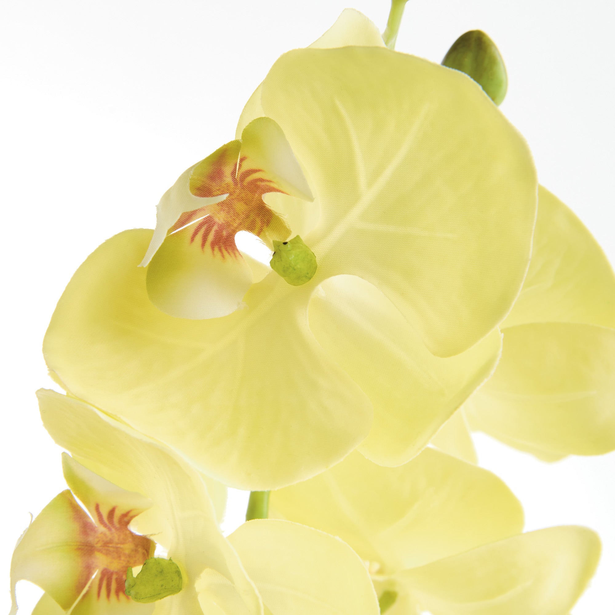 Phalaenopsis Orchid 28in Faux Plant Stem Set of 4 3