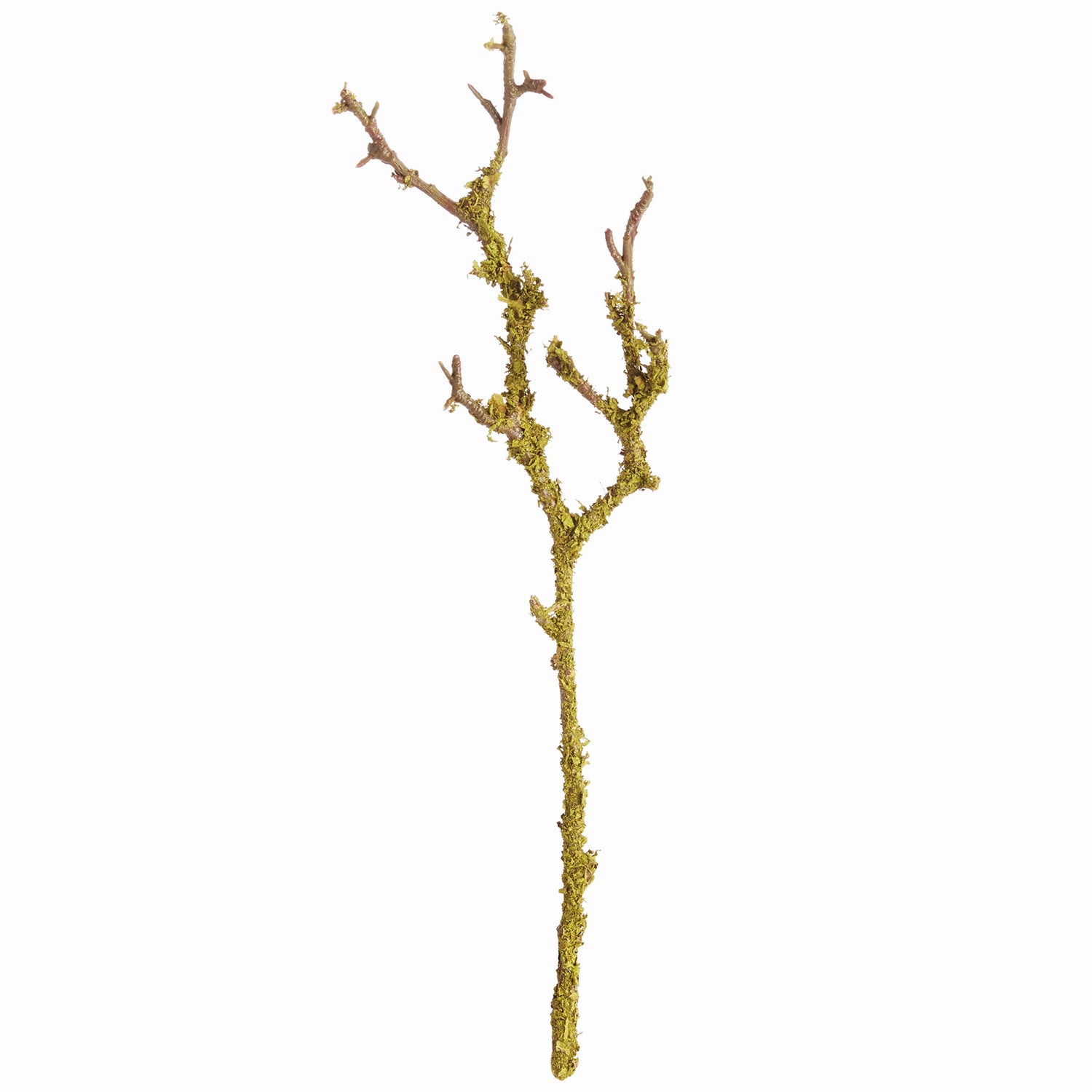 Lichen 17in Faux Branches Set of 6