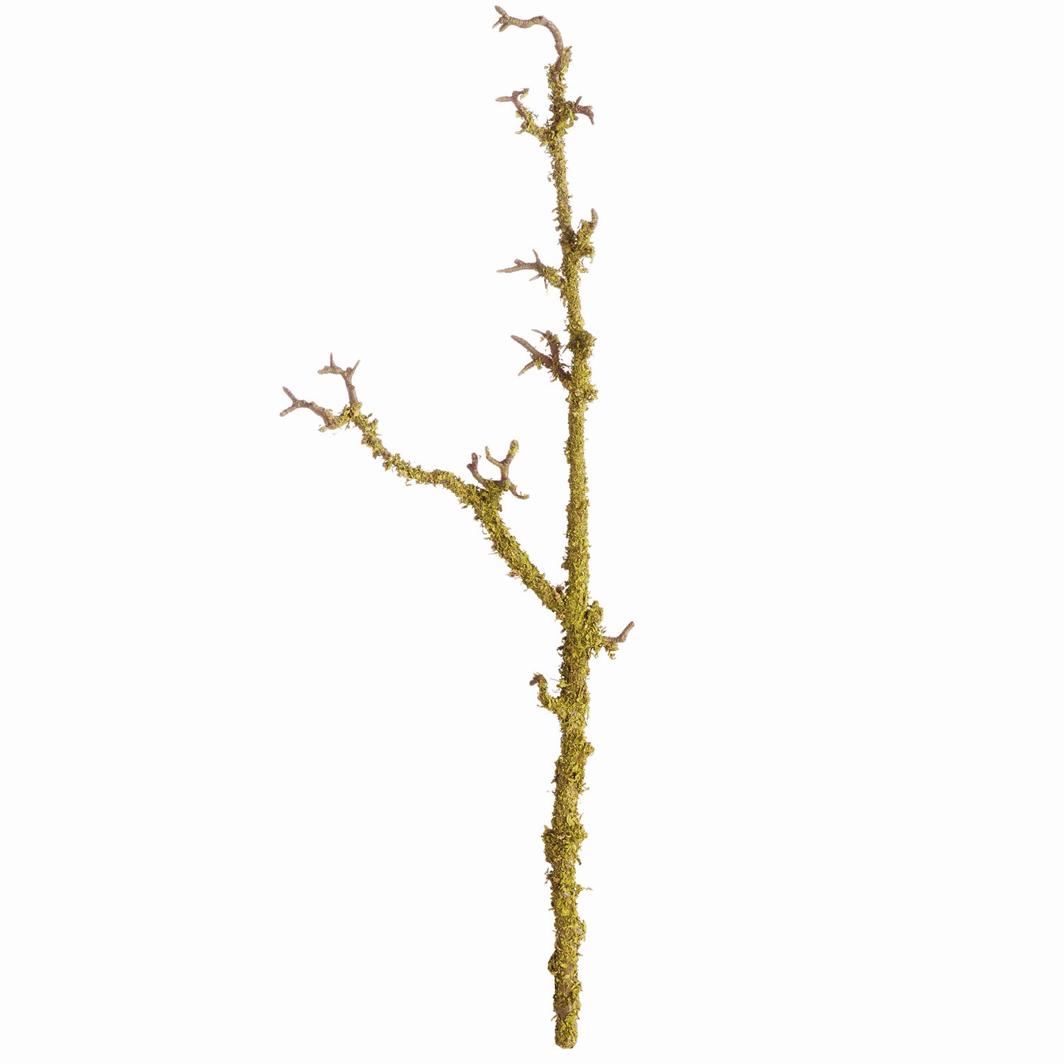 Lichen 28in Faux Branches Set of 2