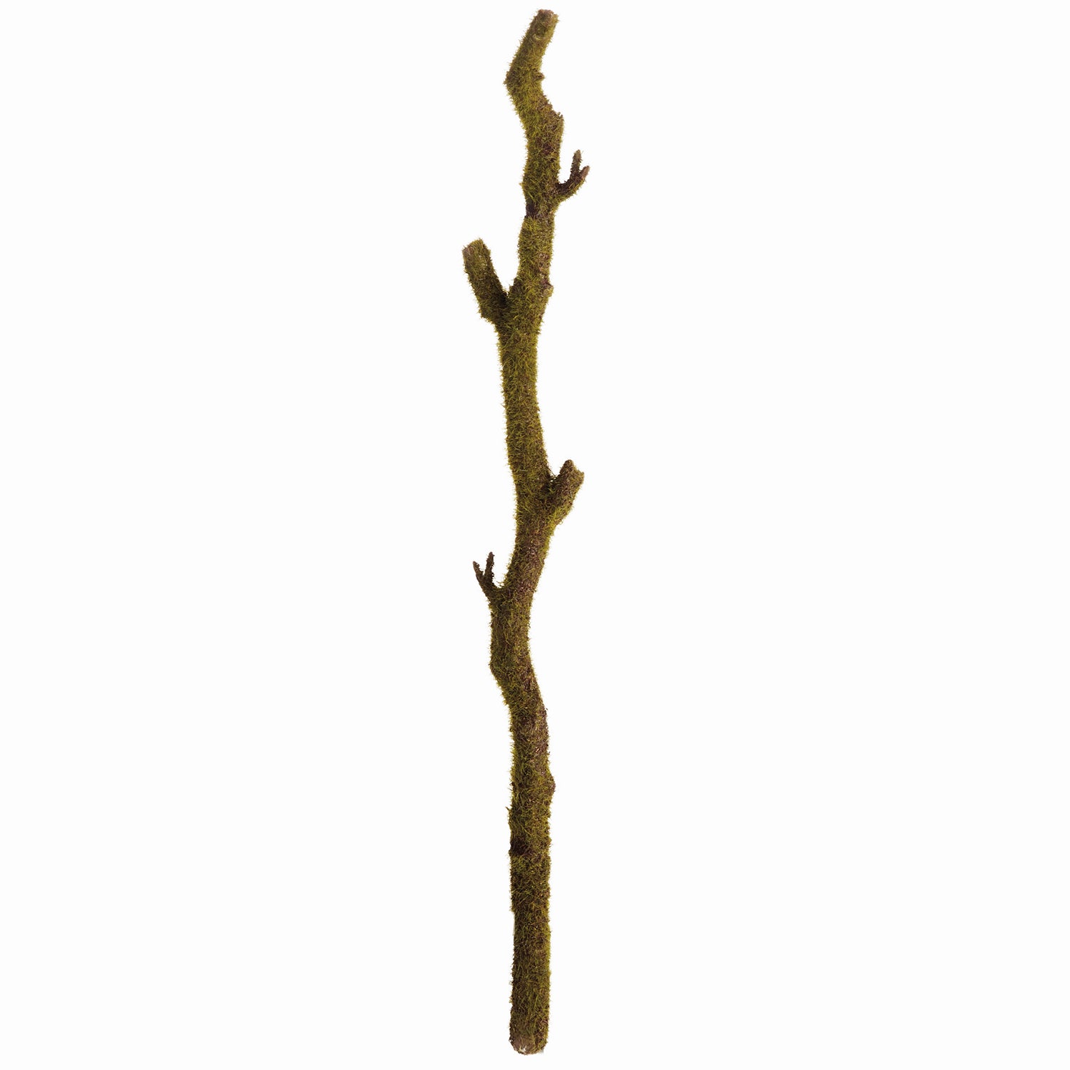 Moss 24in Faux Branches Set of 2