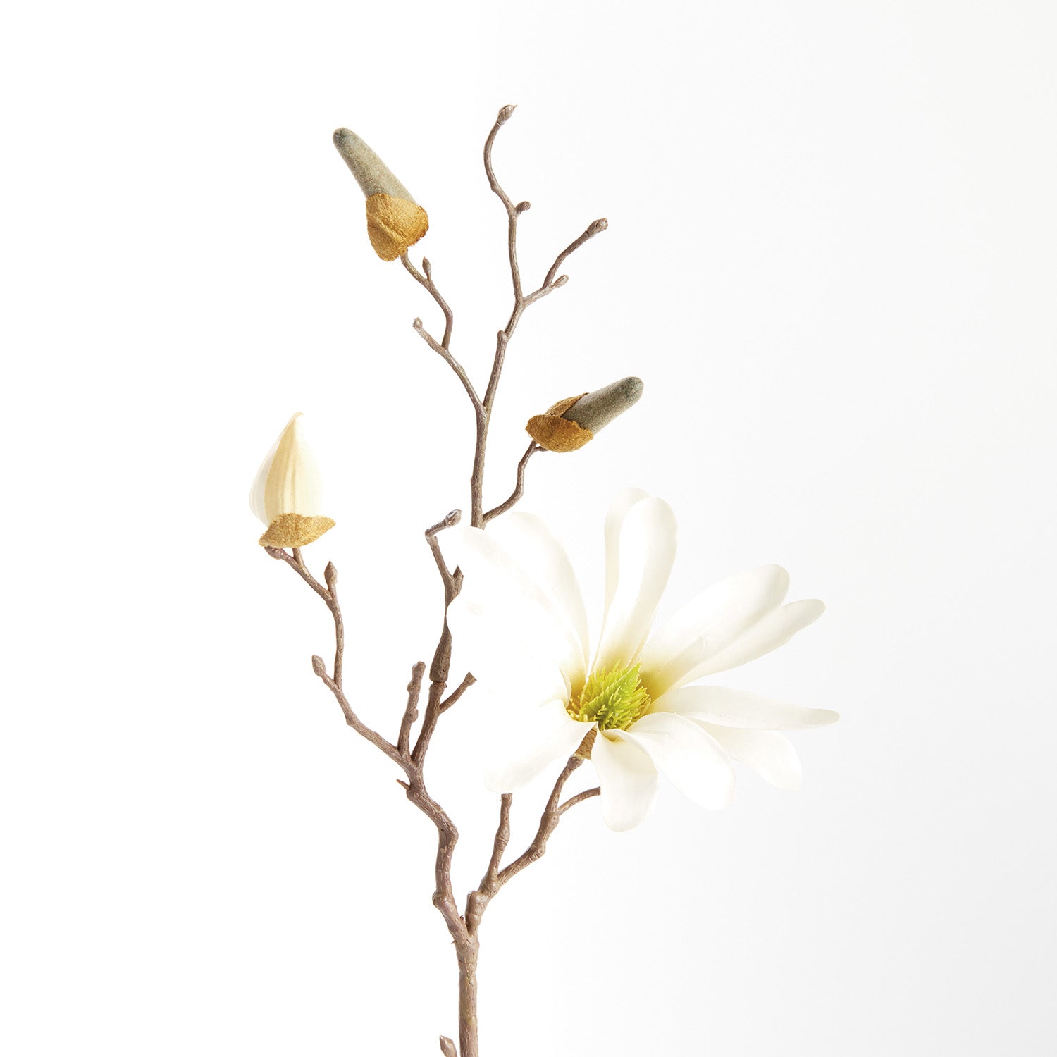 Star Magnolia 18in Faux Stem Set of 6