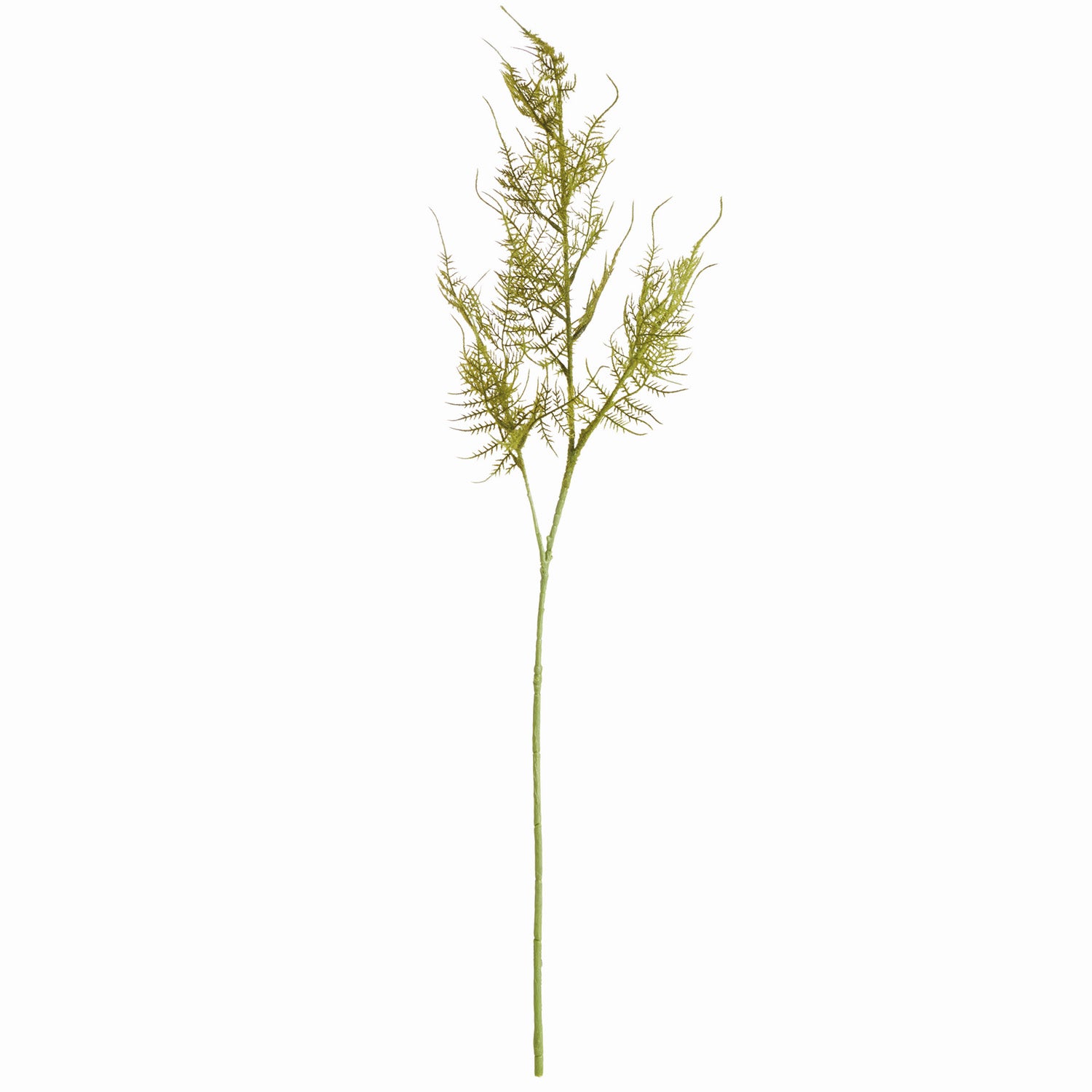Plumosa Faux Stem Set of 6