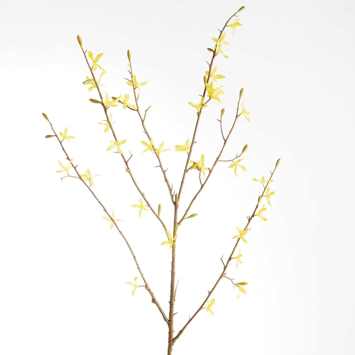 Forsythia 47in Faux Plant Stem Set of 6