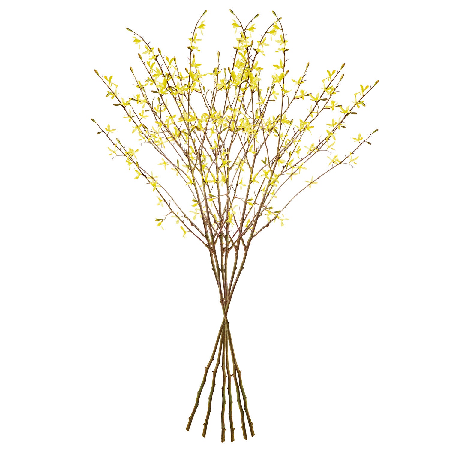 Forsythia 47in Faux Plant Stem Set of 6