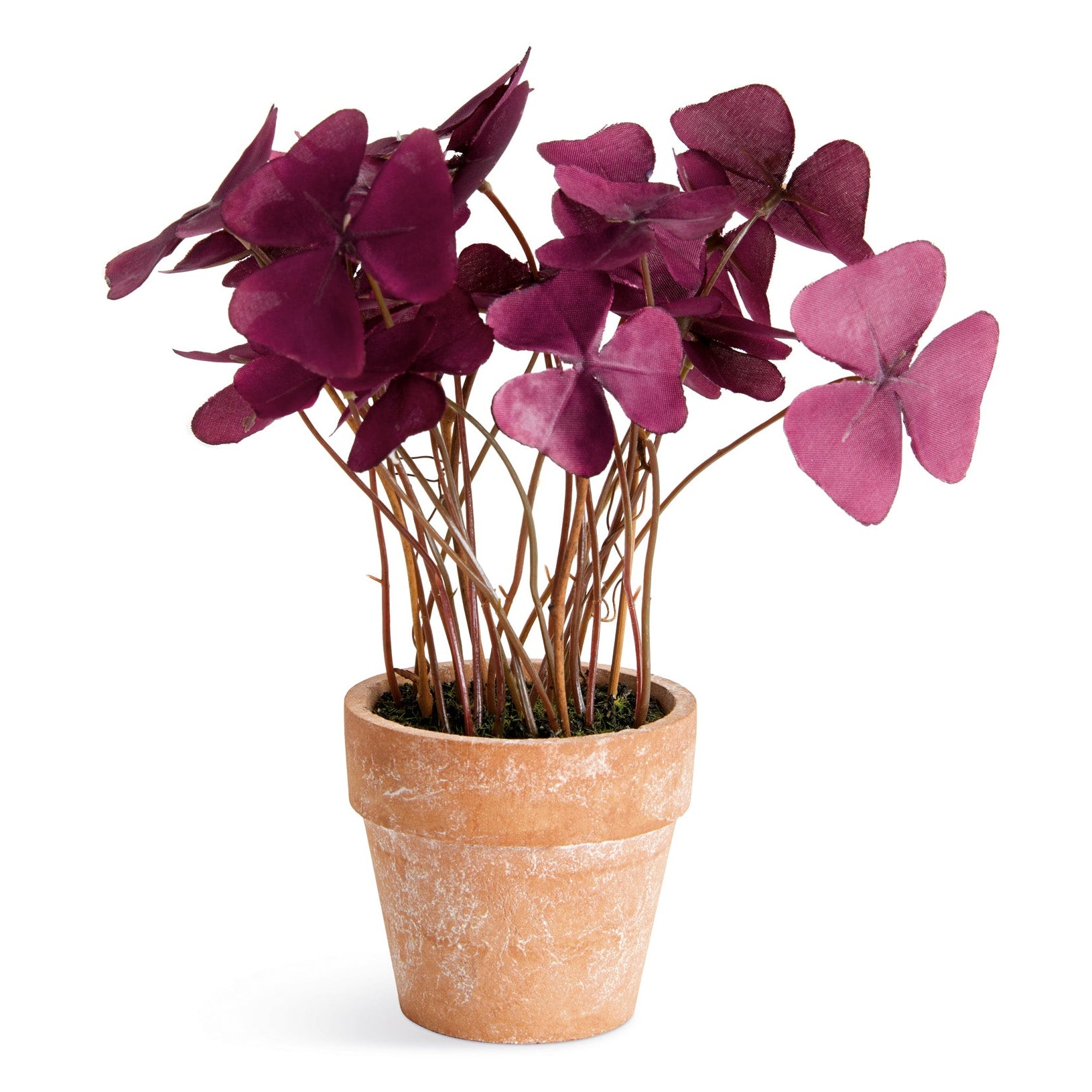 Mini Oxalis Potted 7in Drop-In Faux Plant Set of 4