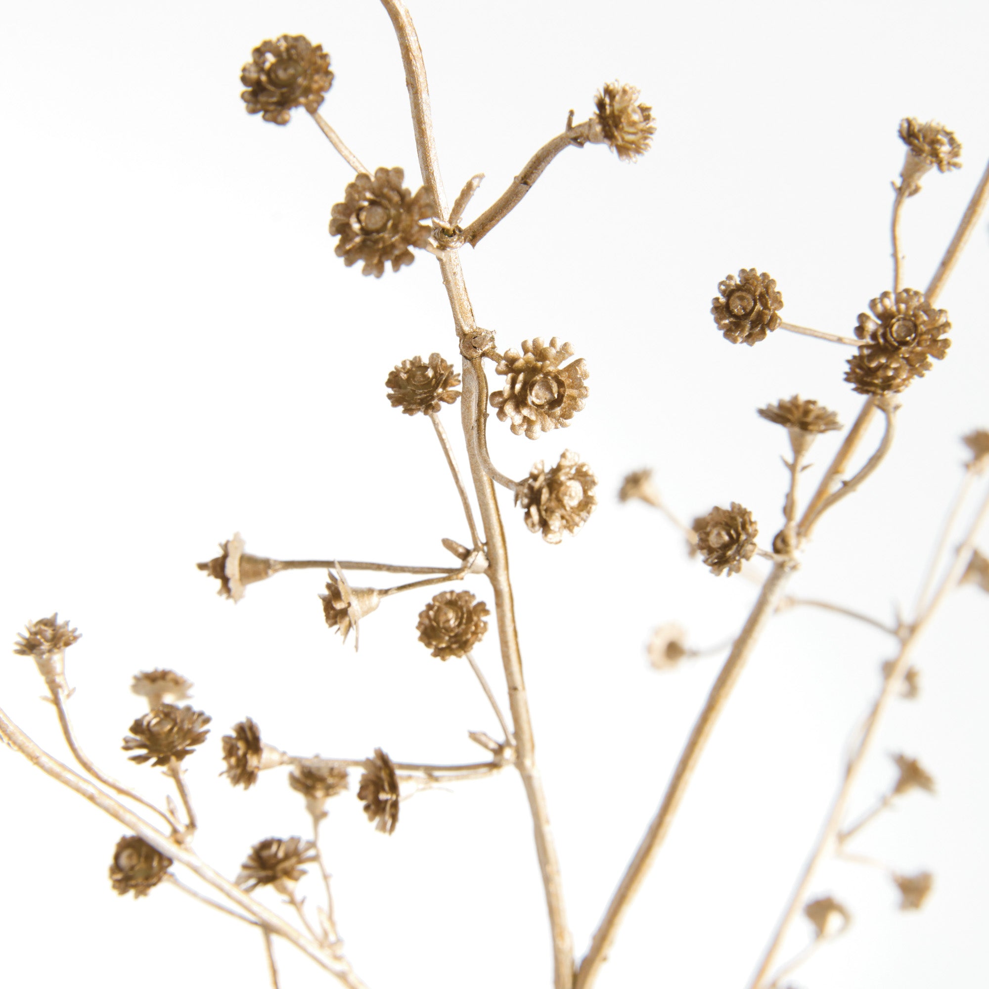 Gilded Baby's Breath 31in Faux Plant Stem Set of 4