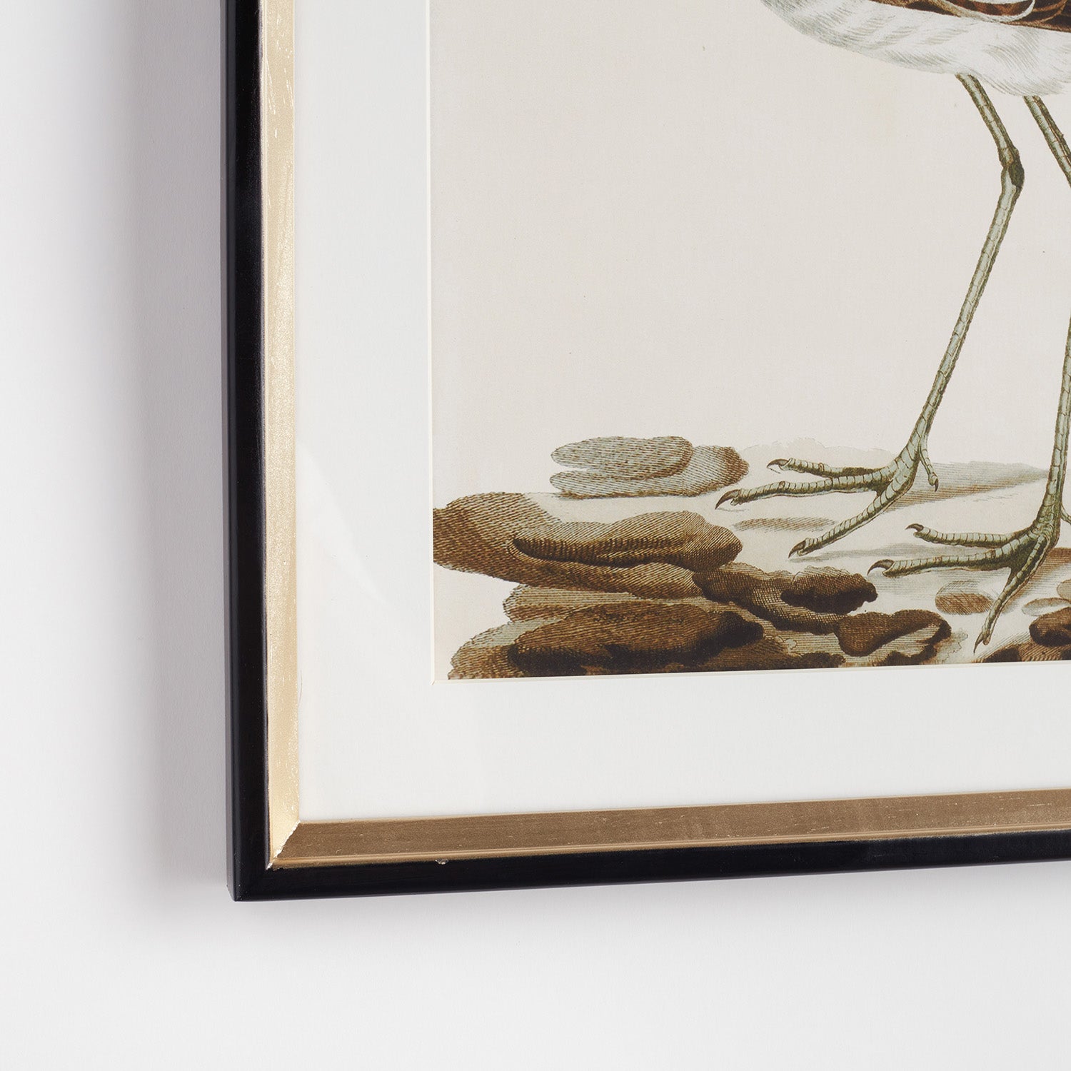 Wandering Birds Study Framed Wall Art Set of 3