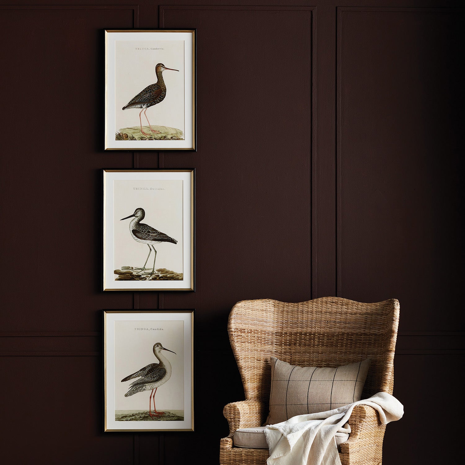 Wandering Birds Study Framed Wall Art Set of 3