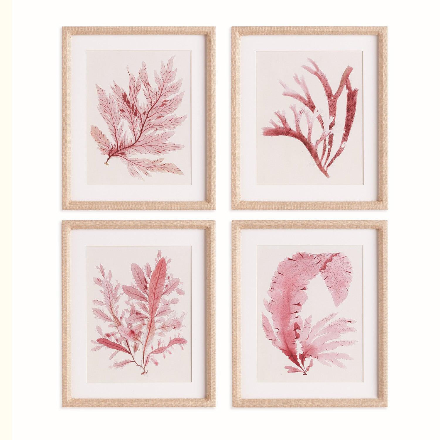 Watercolor Seaweed Framed Print Set of 4