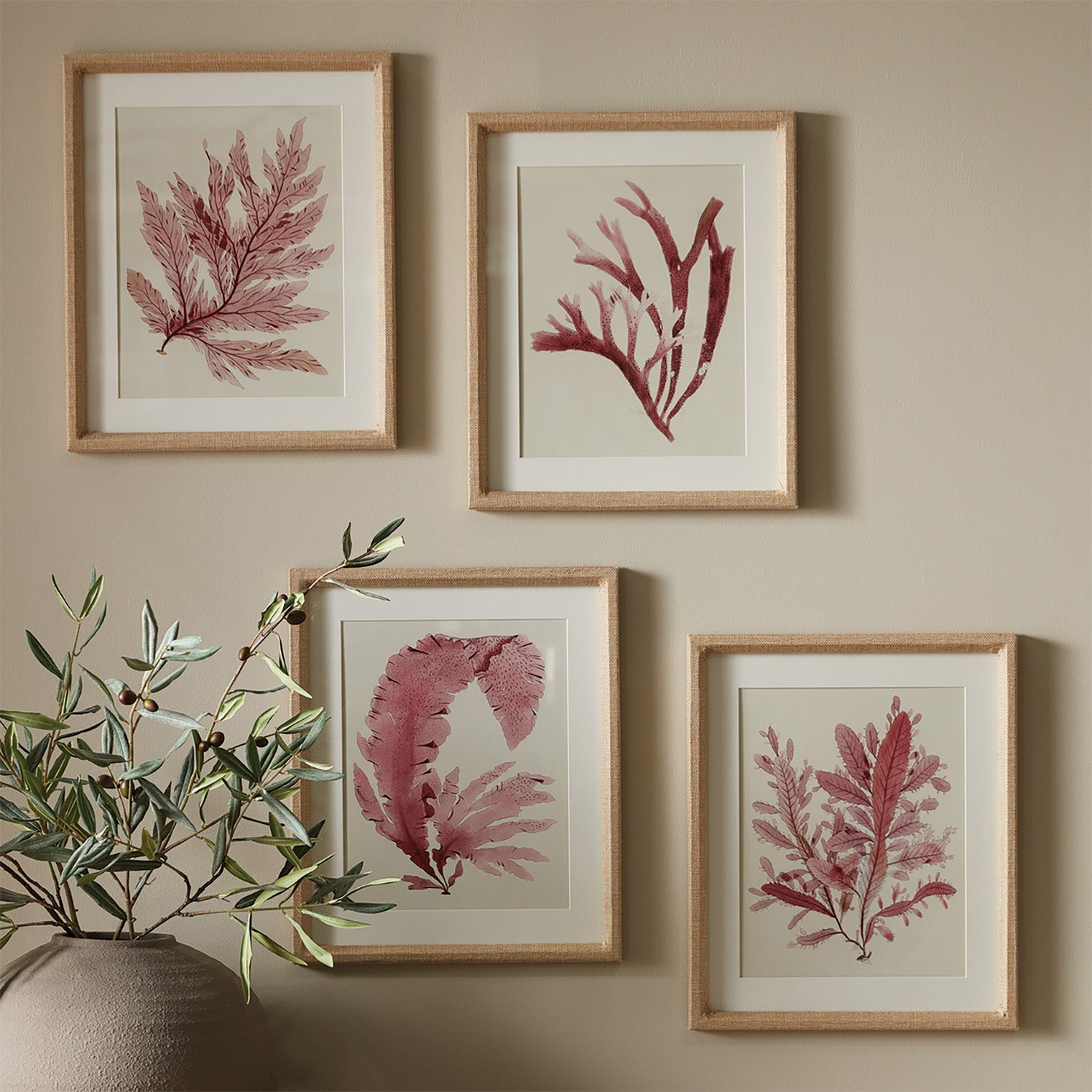 Watercolor Seaweed Framed Print Set of 4