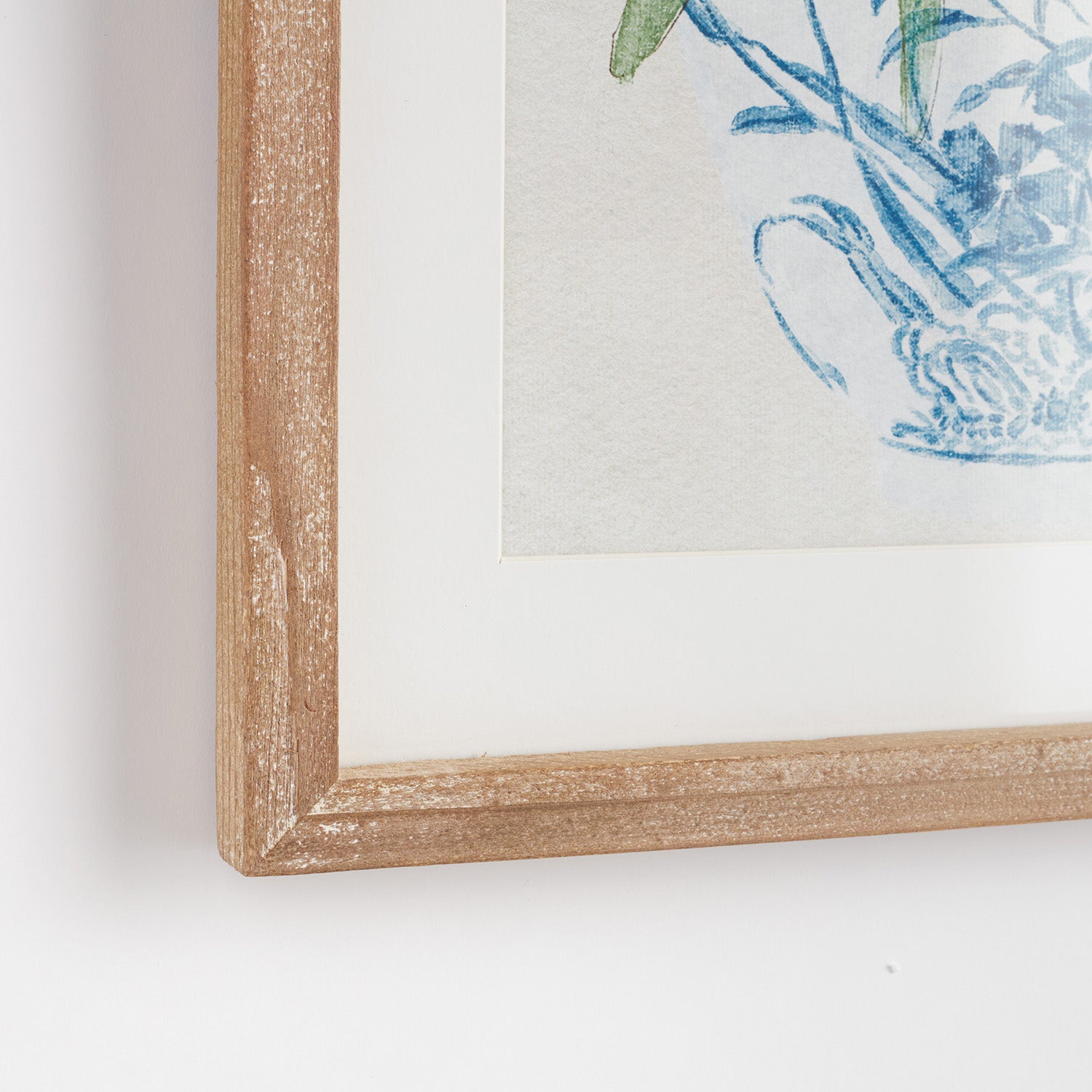 Potted Phalaenopsis Framed Print Set of 2