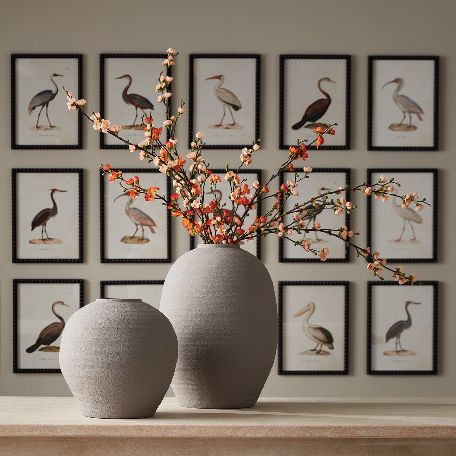 Aquatic Birds Study Set of 9