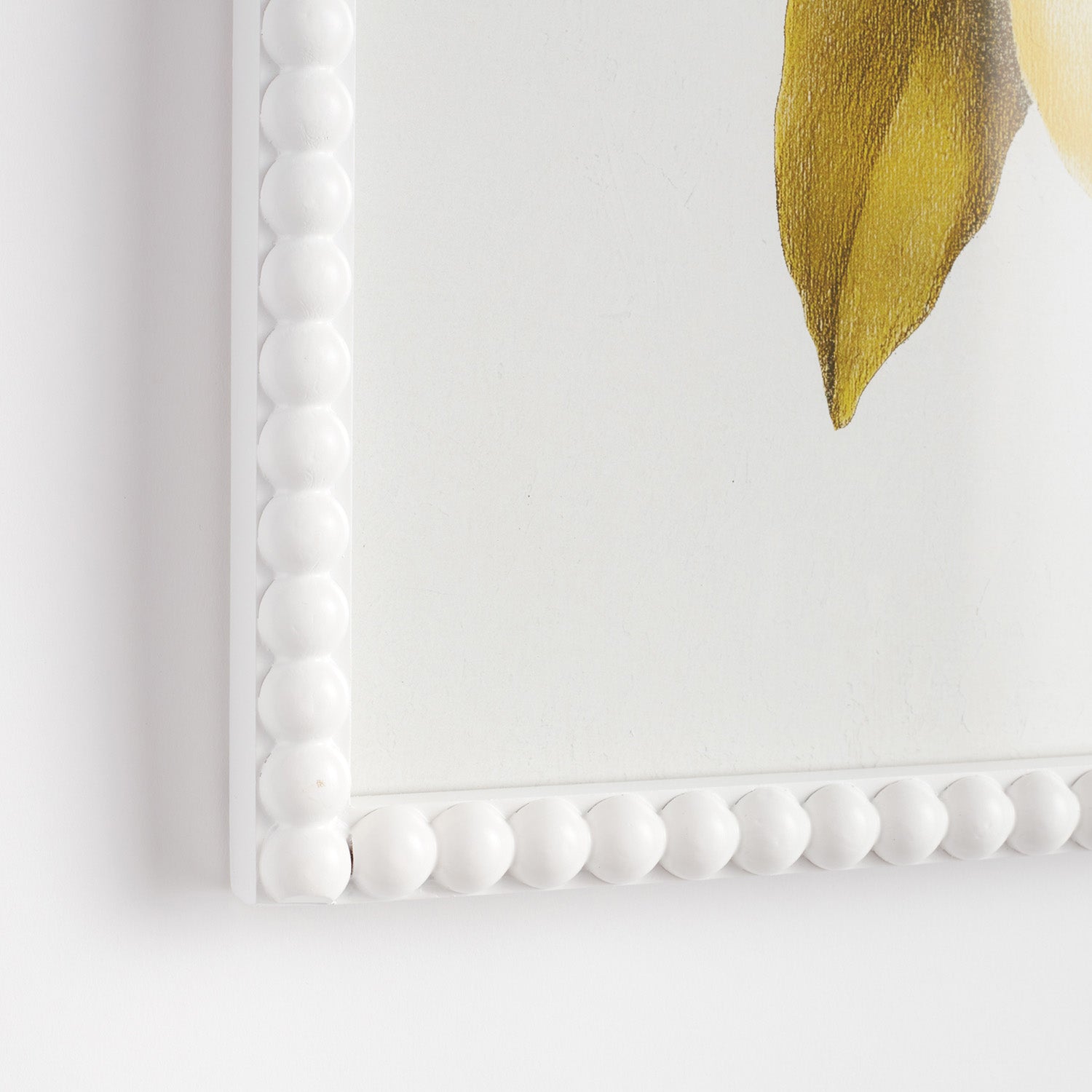 Lemon Cuttings Study Framed Art Set of 3