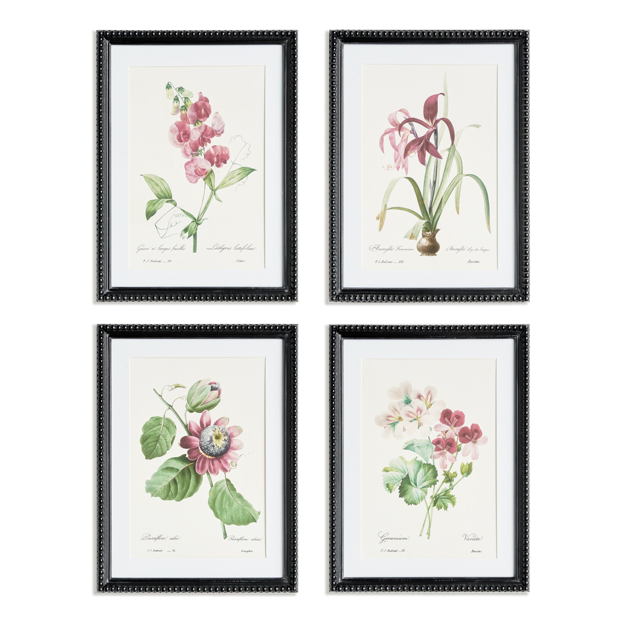 Blush Blooms Study Framed Art Set of 4