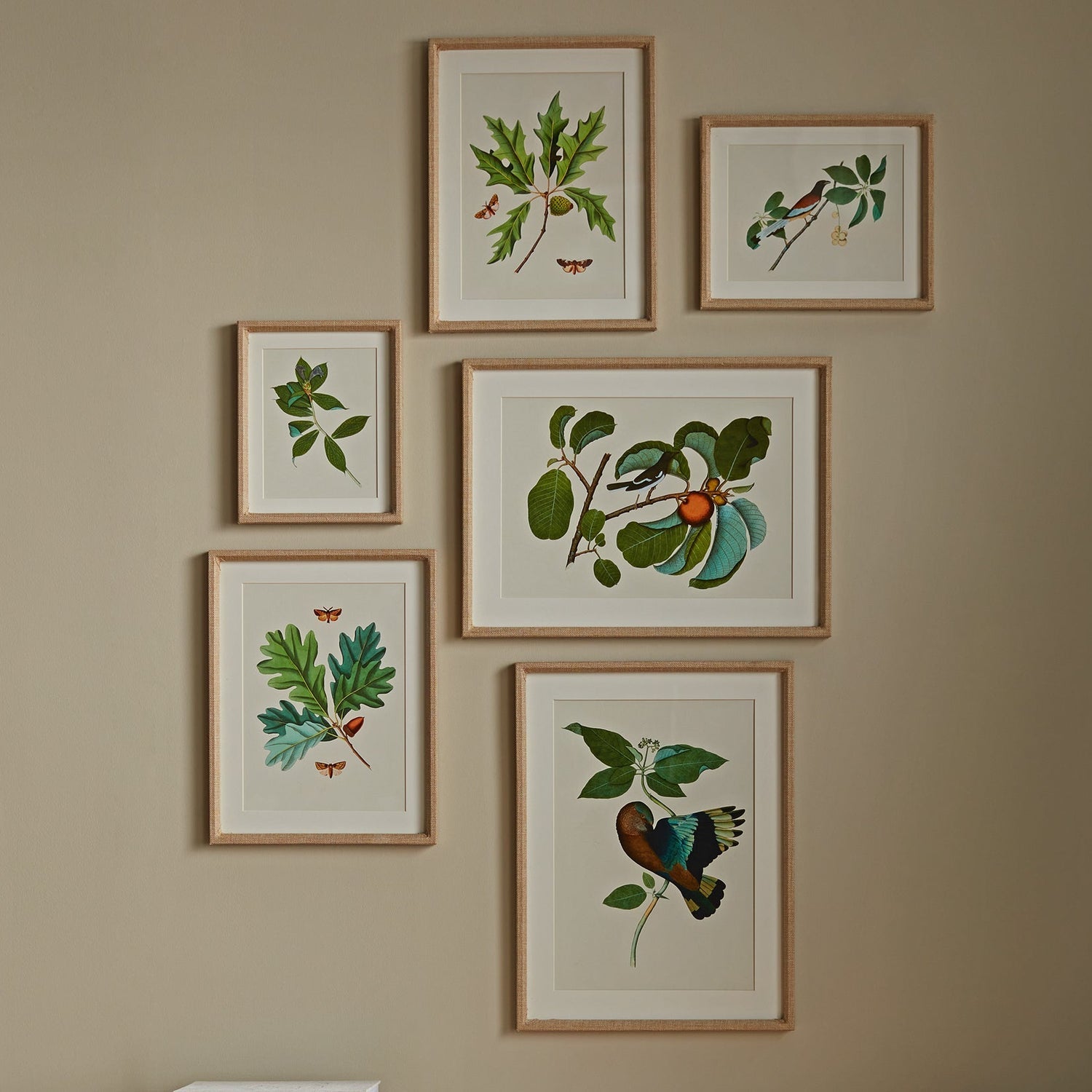 Wildlife Gallery Framed Art Set of 6