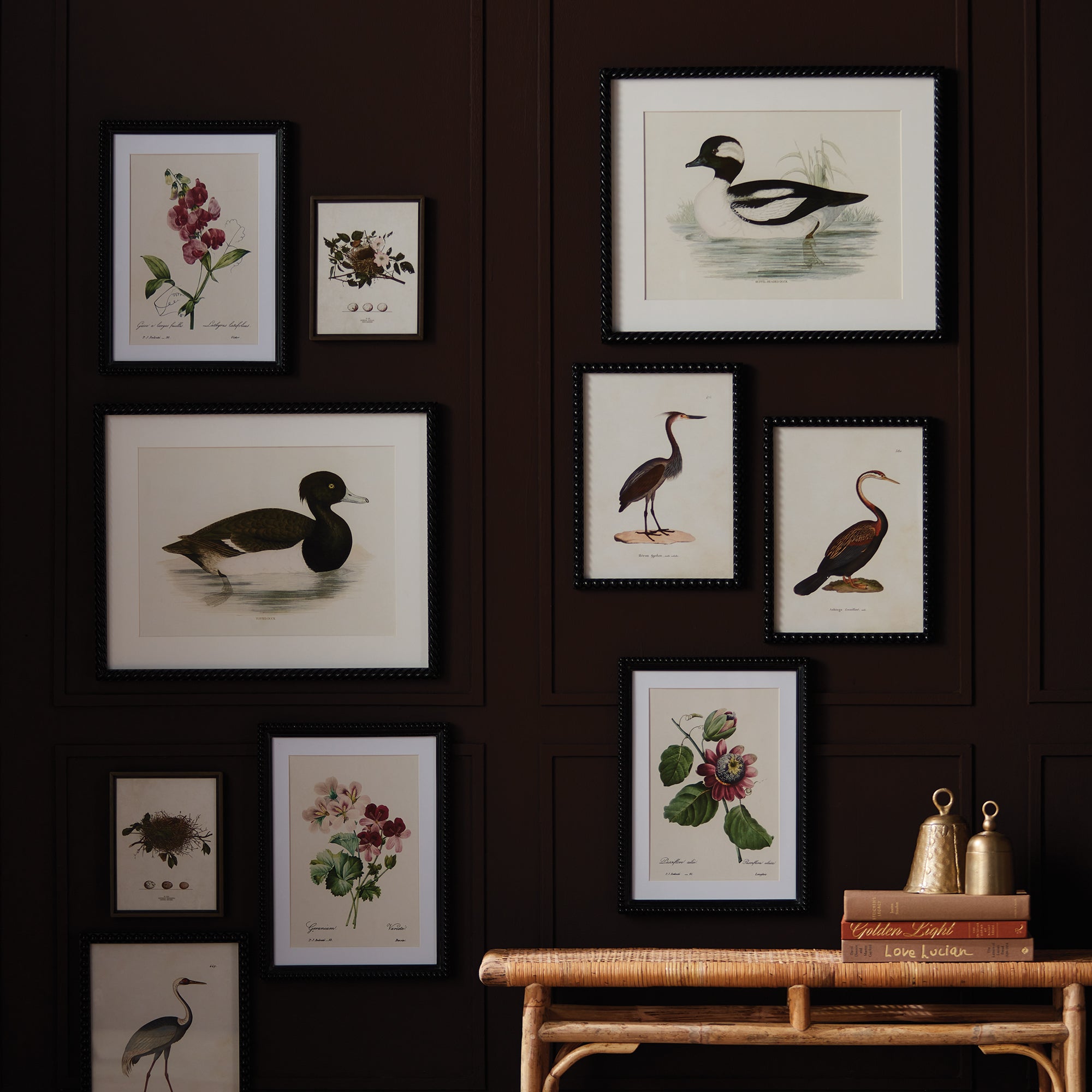 Wading Duck Print Framed Art Set of 2