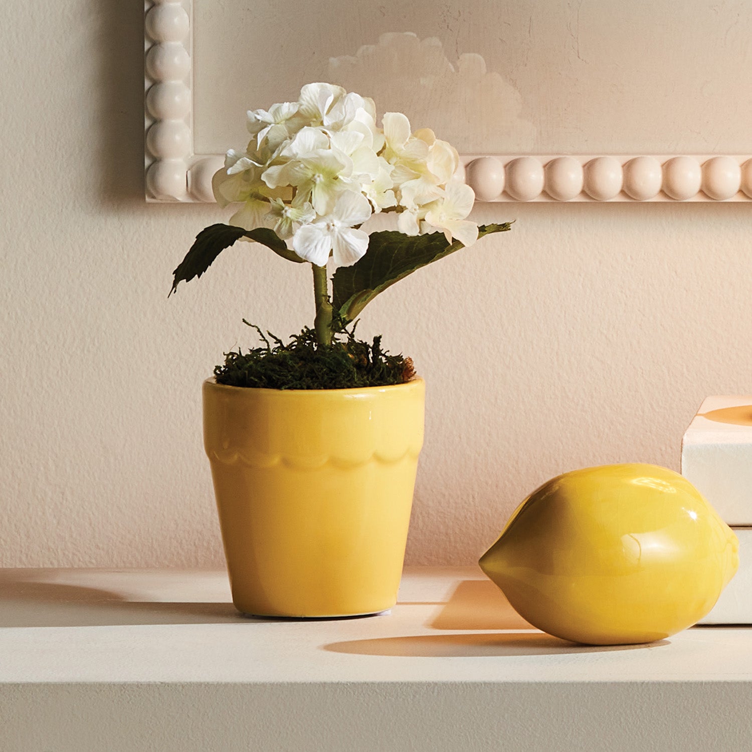 Mirabelle II Mini Cachepot Set of 6