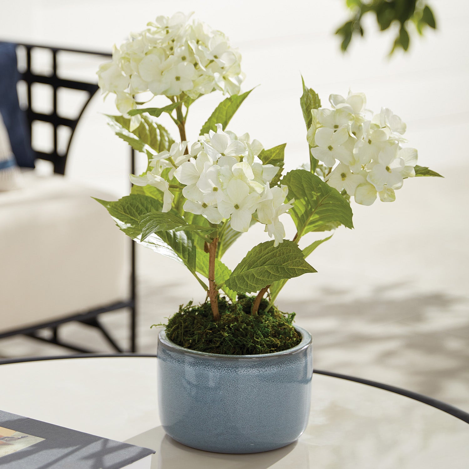 Aylin Pot Set of 3