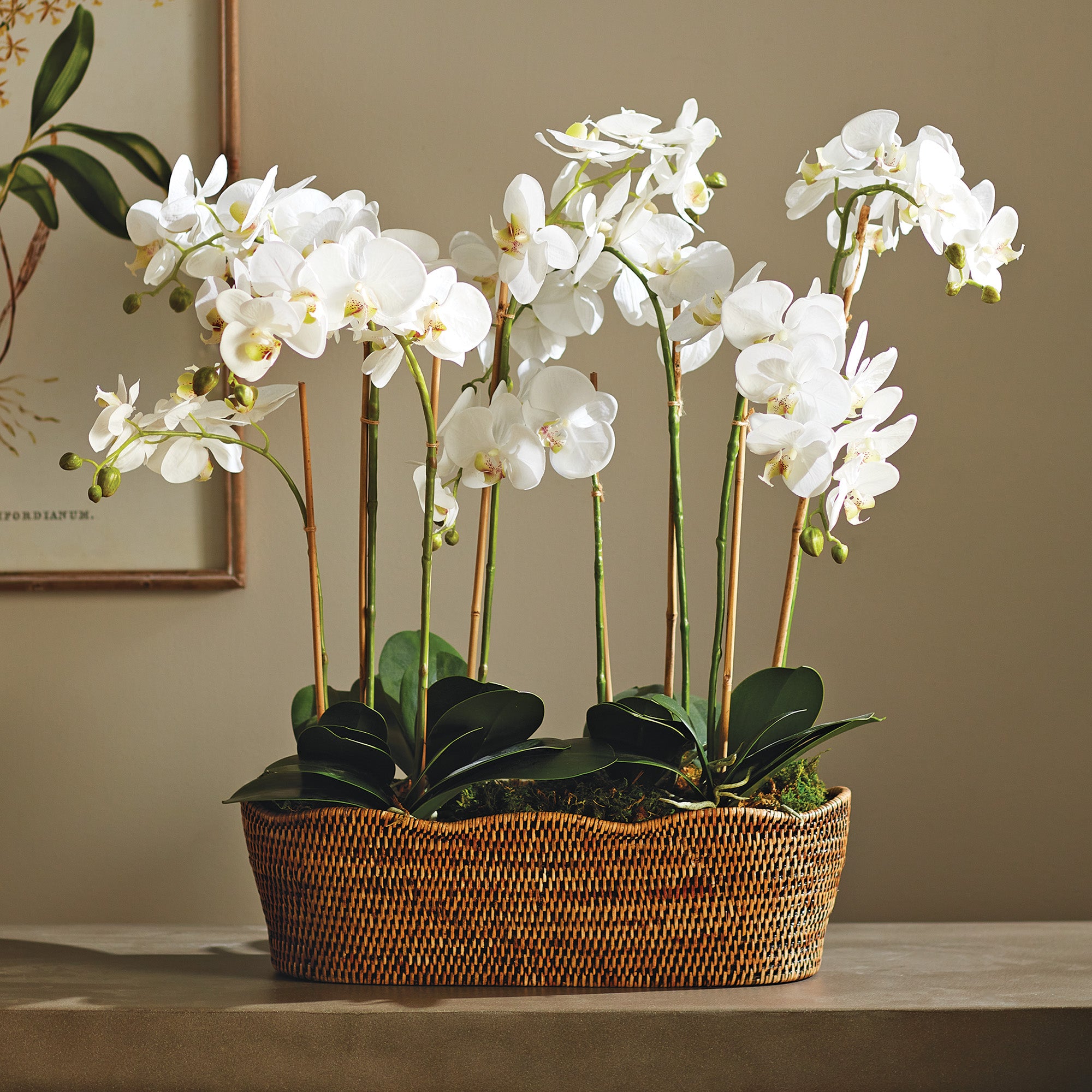 Burma Rattan Oval Cachepot