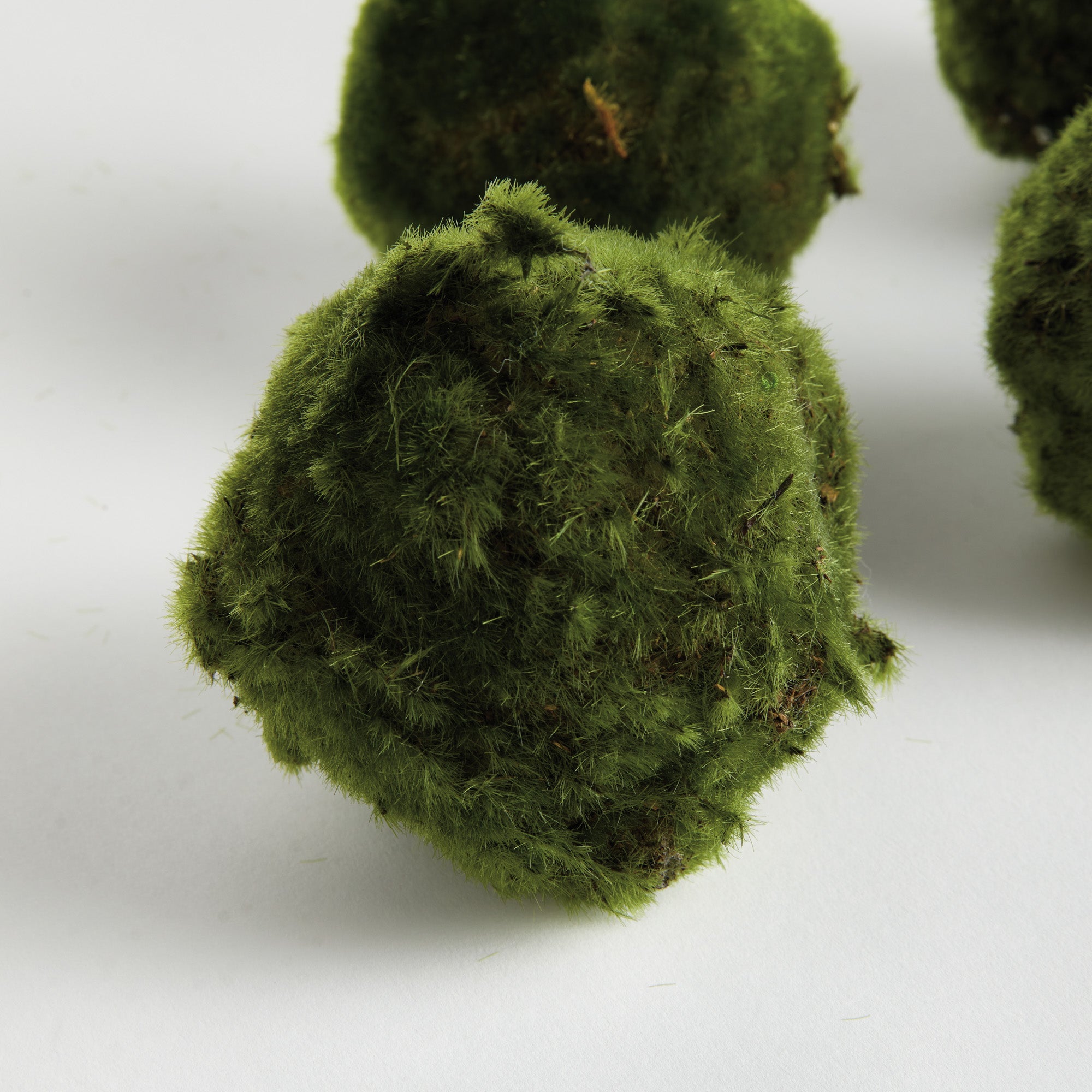 Moss 4in Orb Set of 6