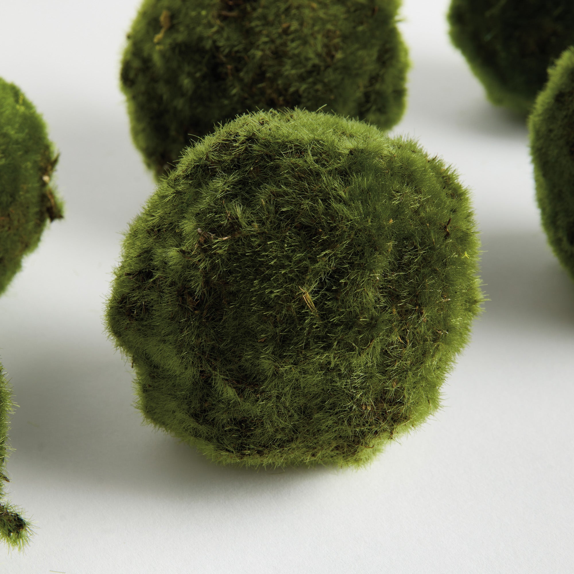 Moss 4in Orb Set of 6