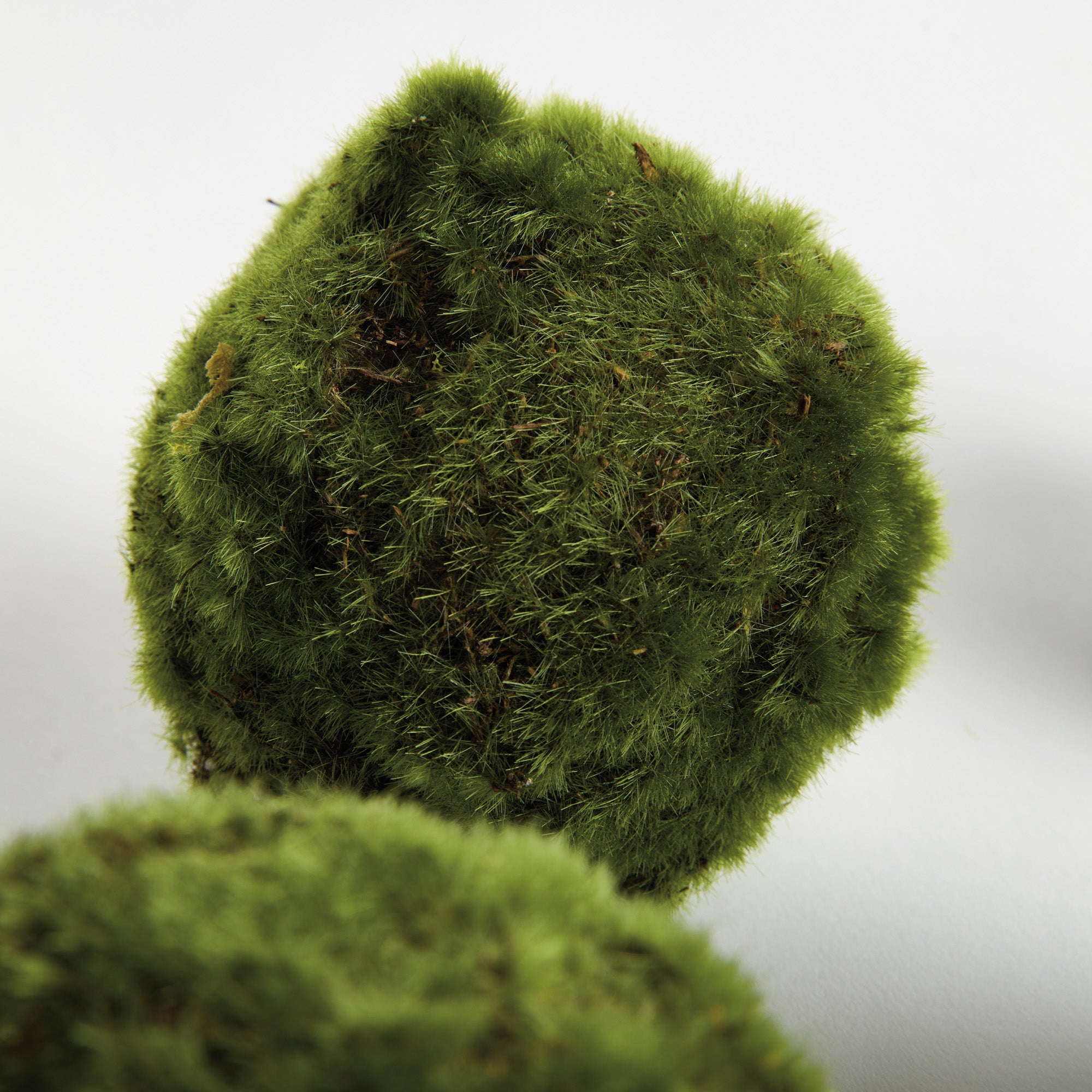 Moss 4in Orb Set of 6