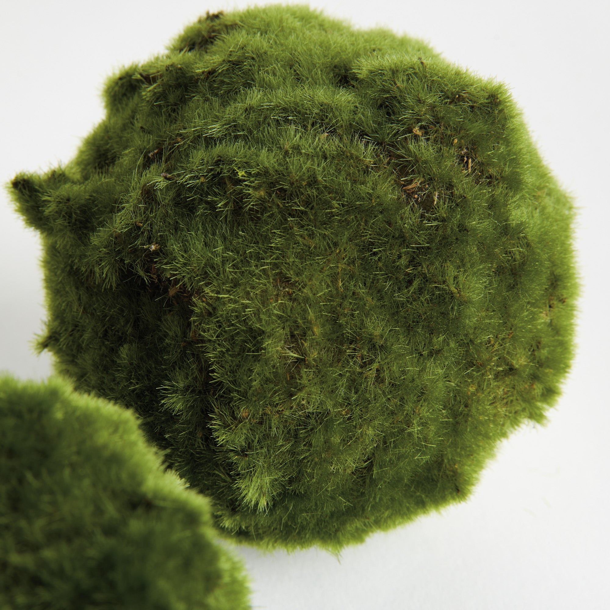 Moss 5in Orb Set of 3