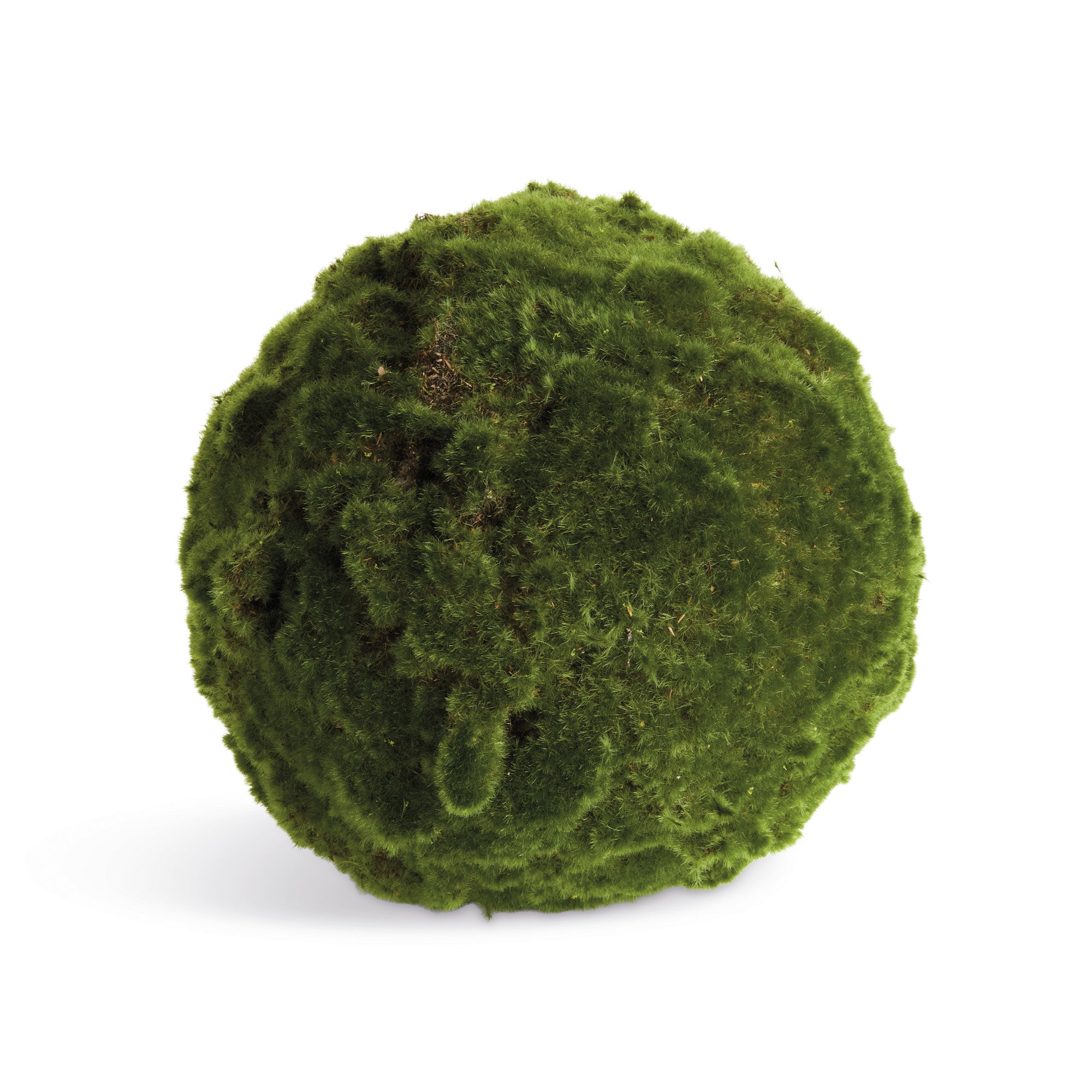 Moss 11in Orb Set of 2