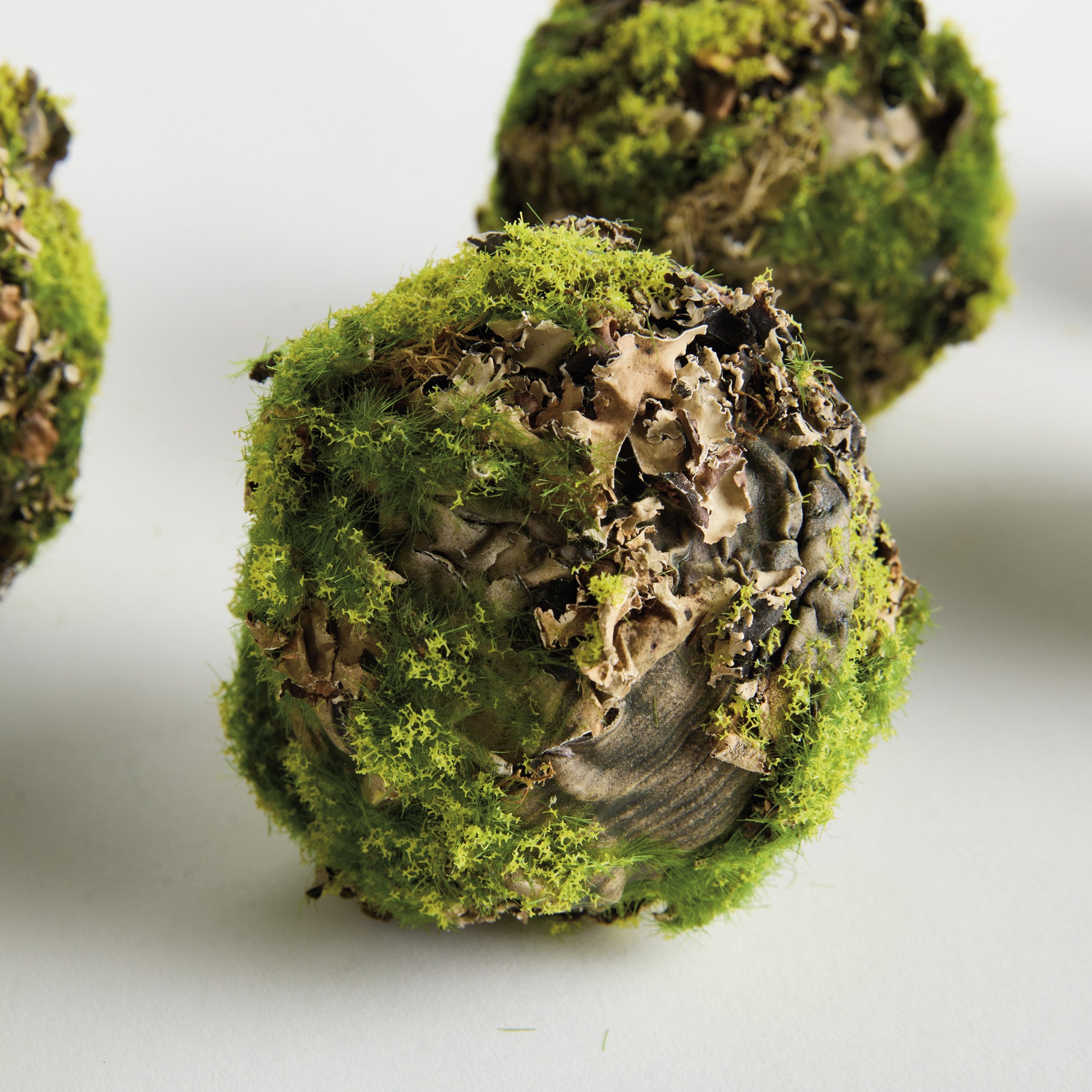 Mossy Lichen 3.5in Orb Set of 6