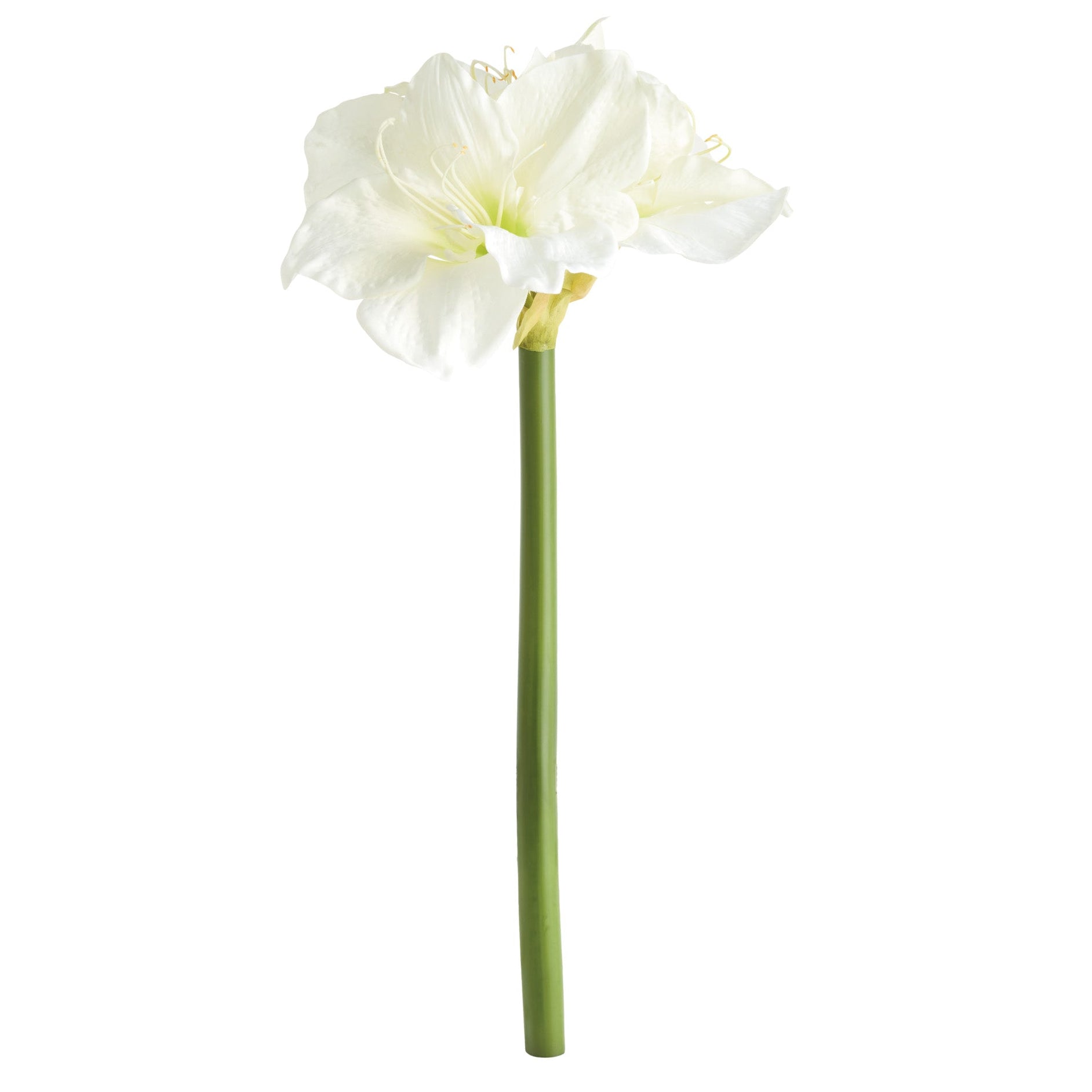 Amaryllis White Faux Plant Stem Set of 2