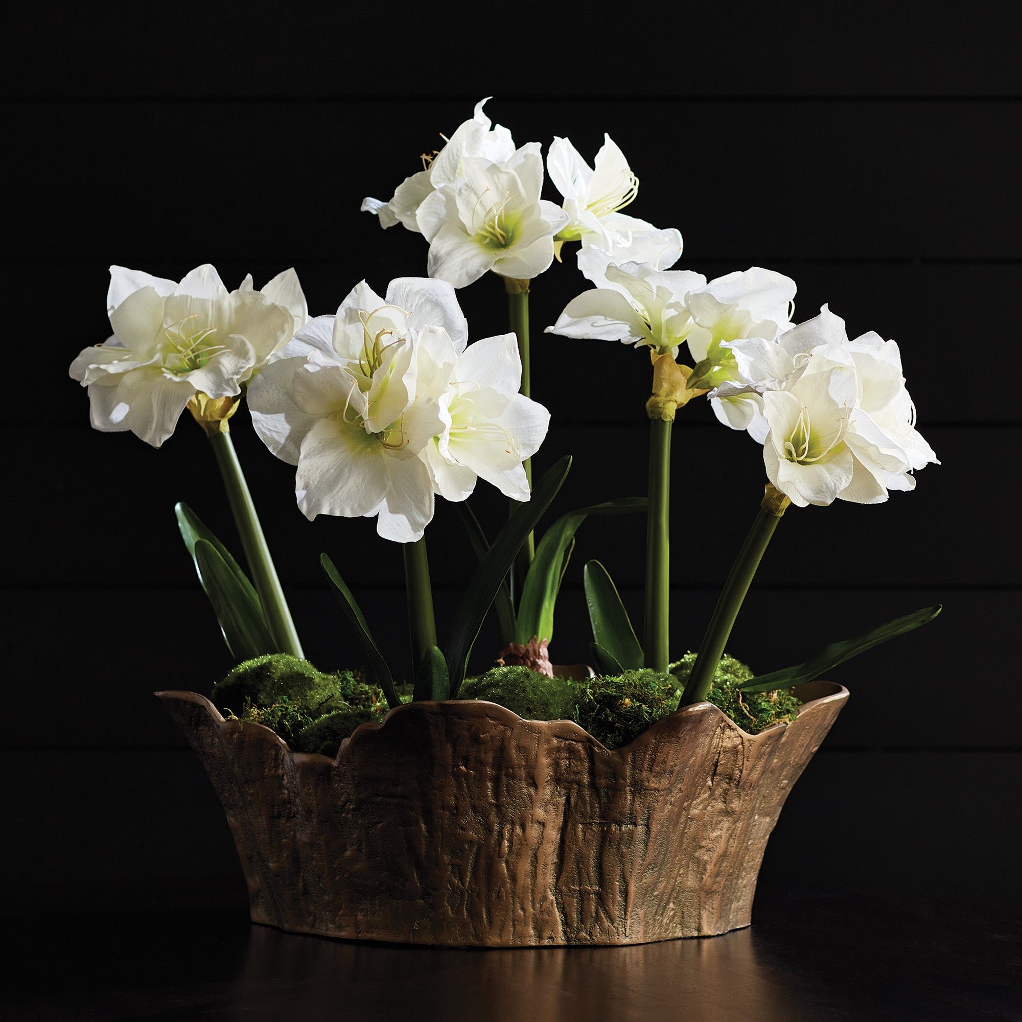 Amaryllis White Bulb Faux Plant Set of 2